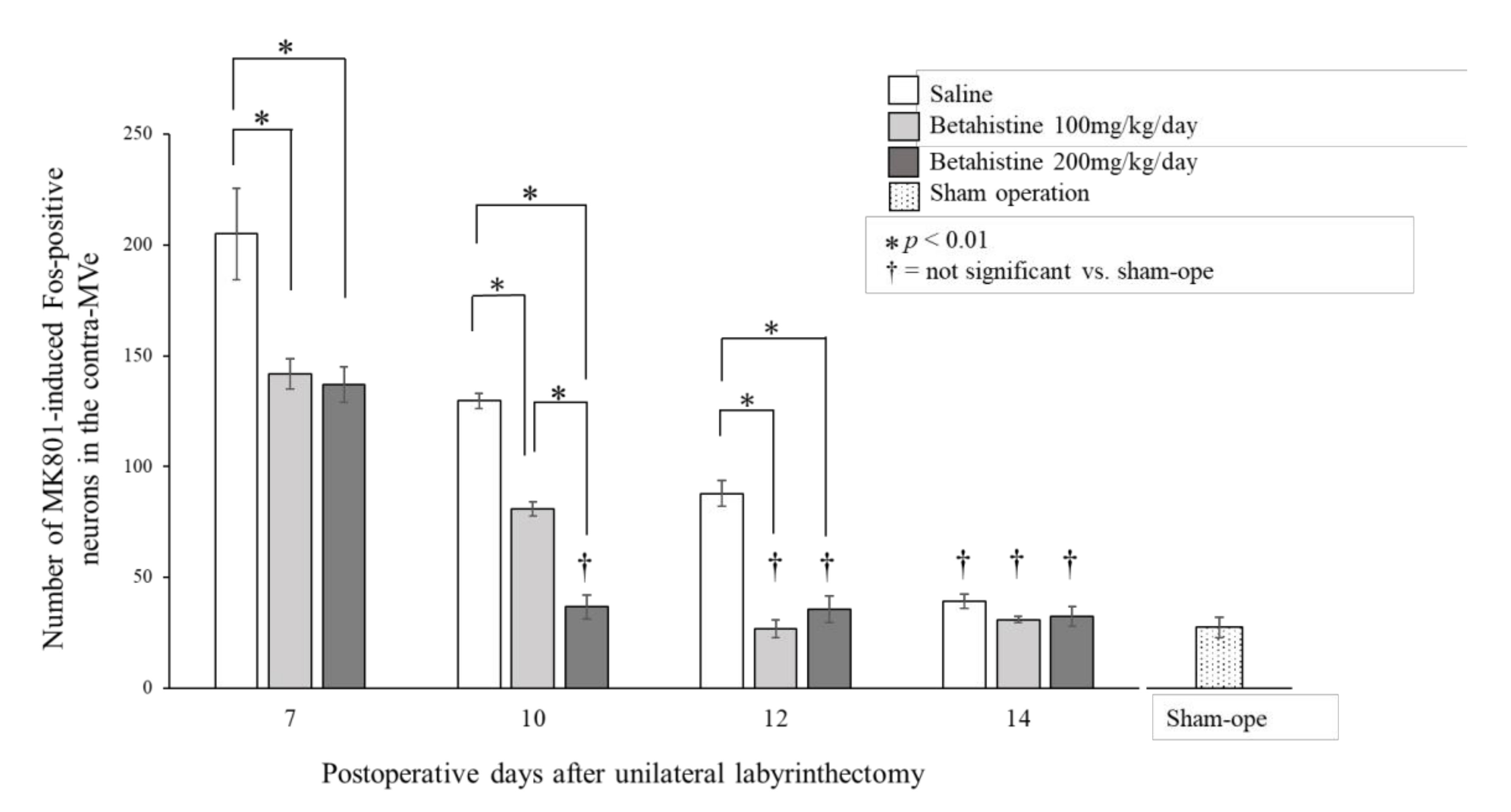 Brainsci 11 00360 g003