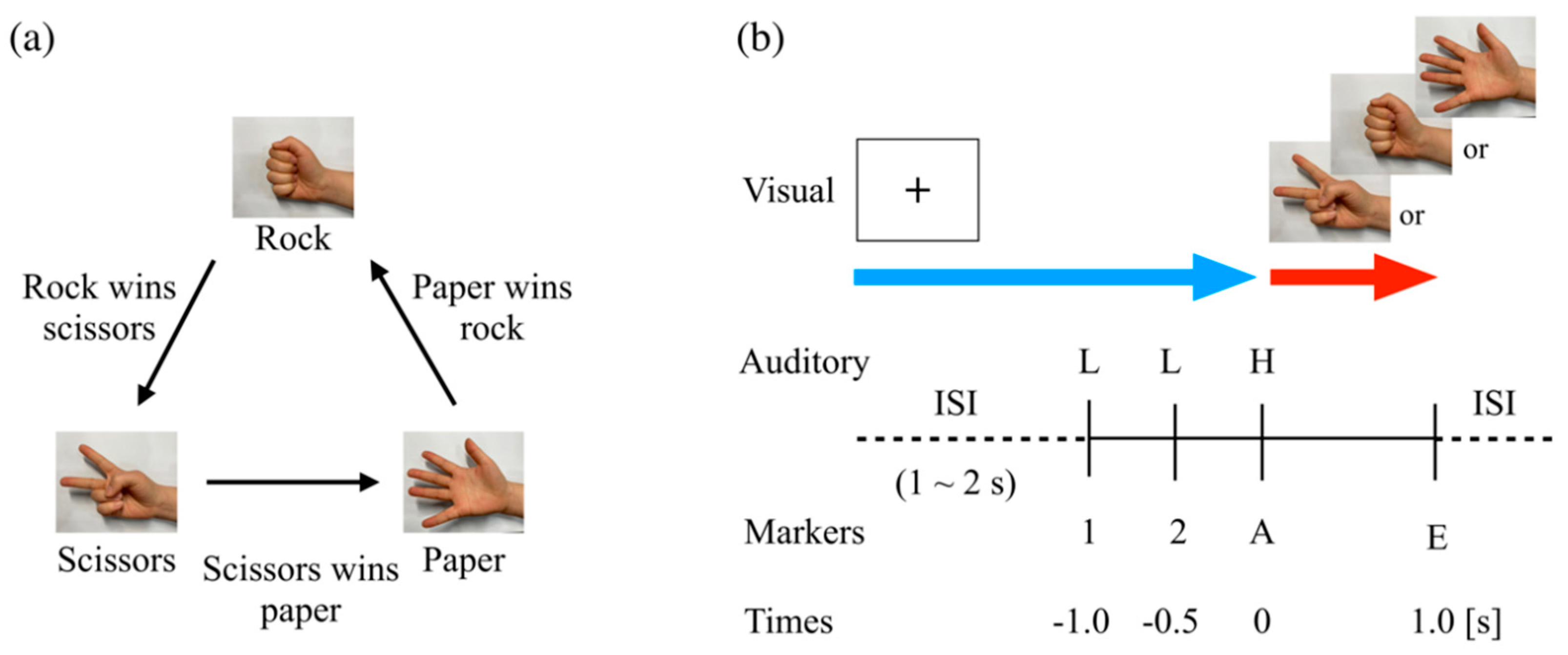 Brainsci 11 00368 g001 Brainsci 11 00368 g001
