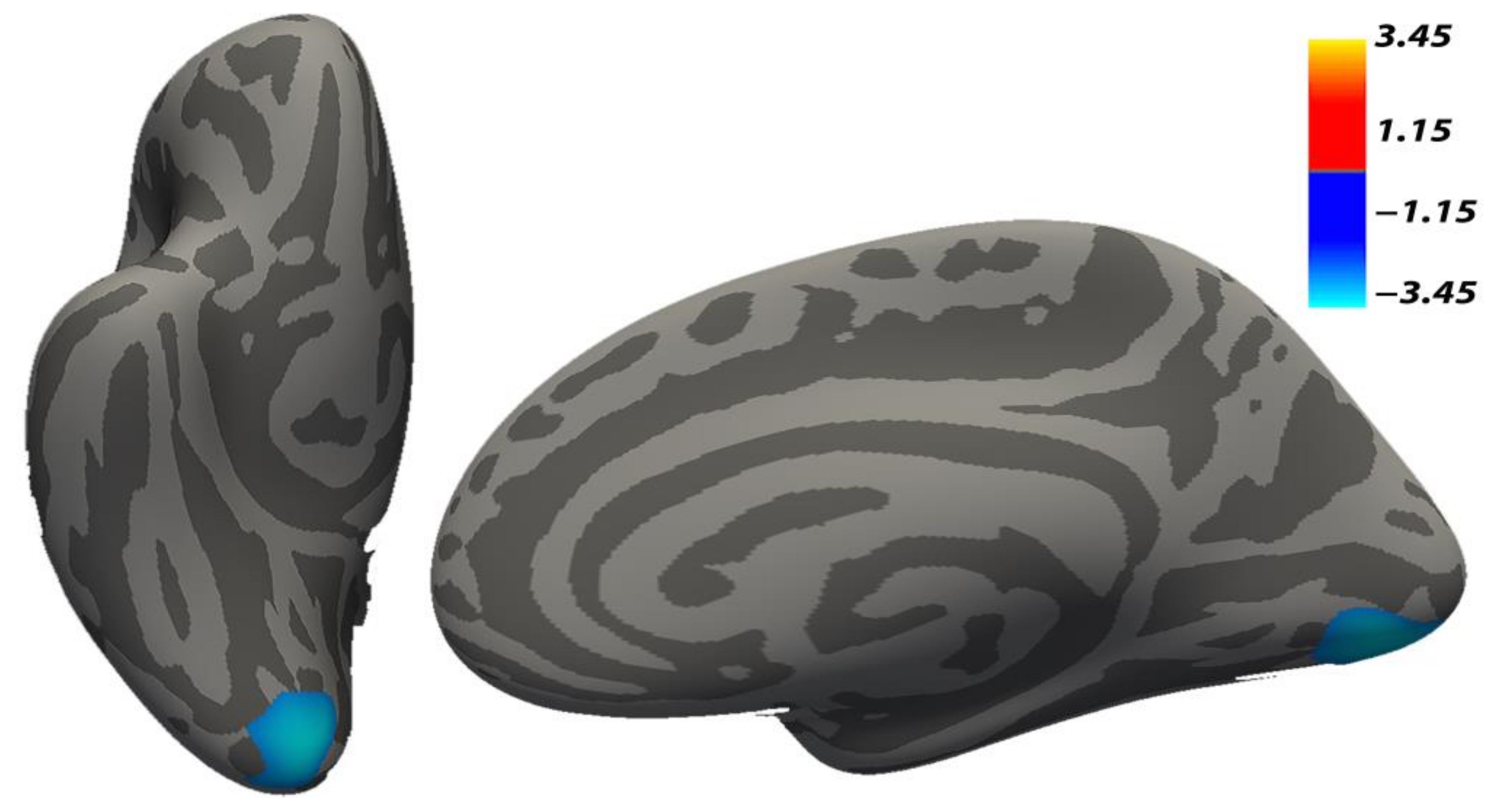 Brainsci 11 00387 g002