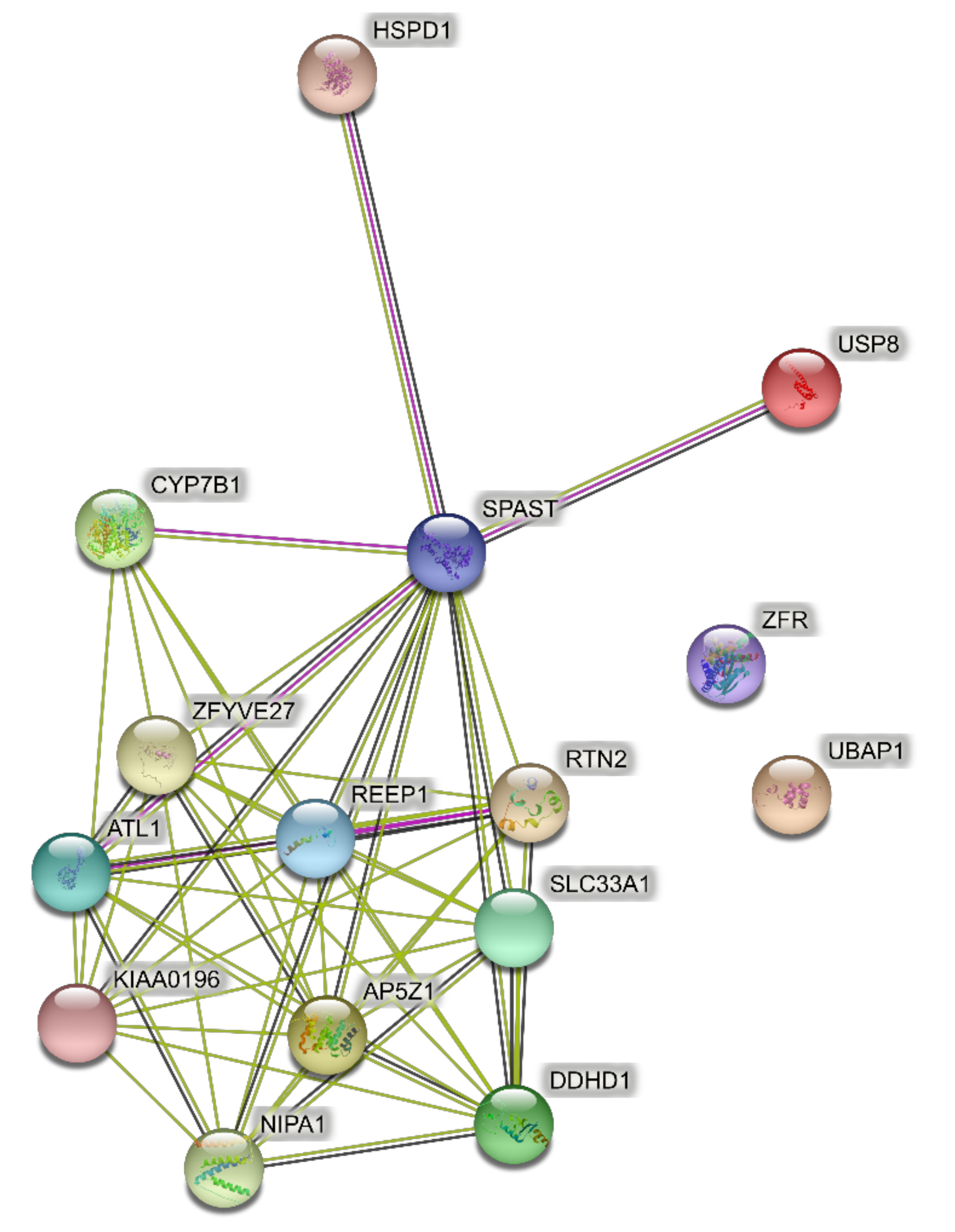 Brainsci 11 00403 g002 Brainsci 11 00403 g002