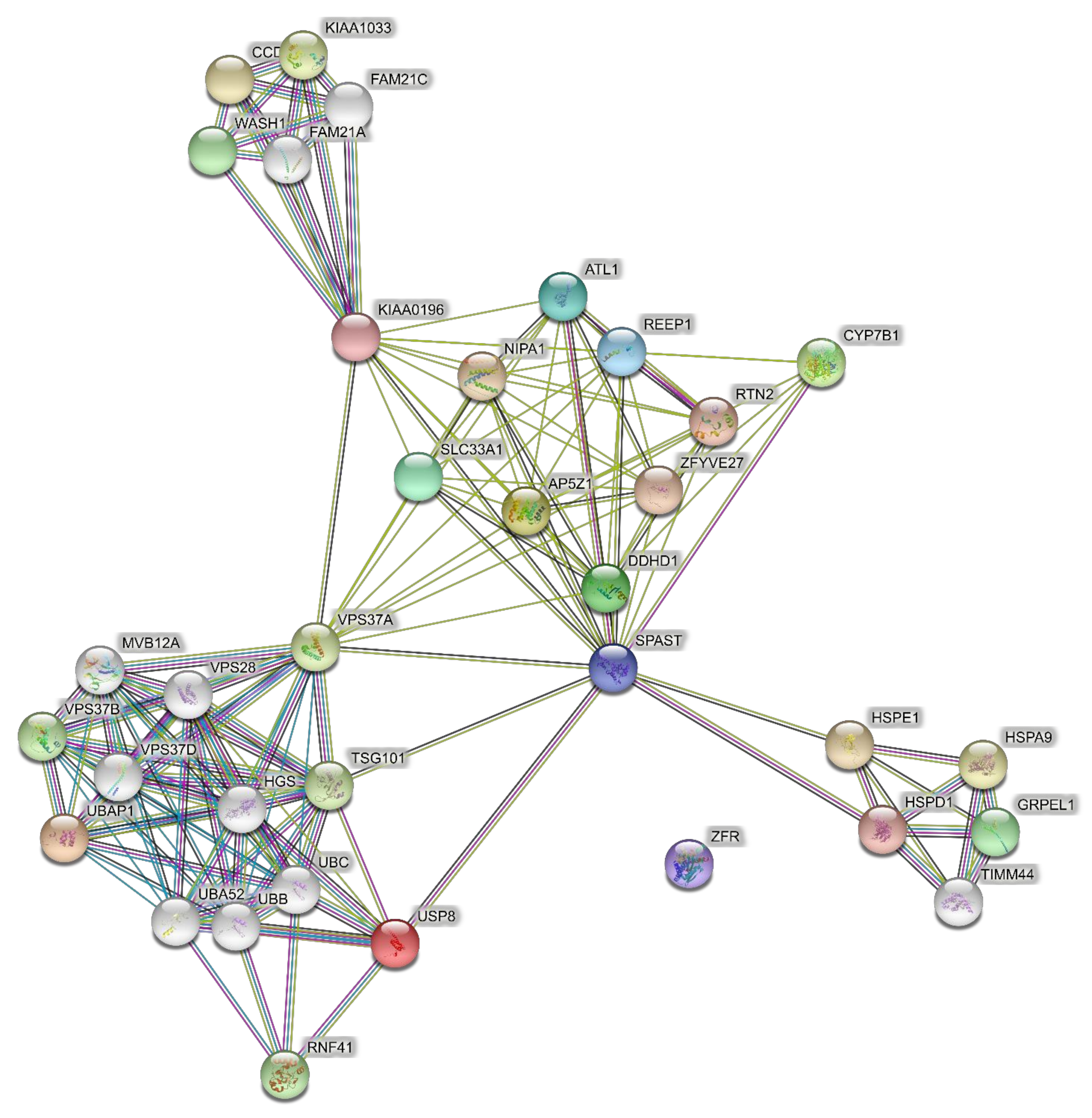 Brainsci 11 00403 g003 Brainsci 11 00403 g003