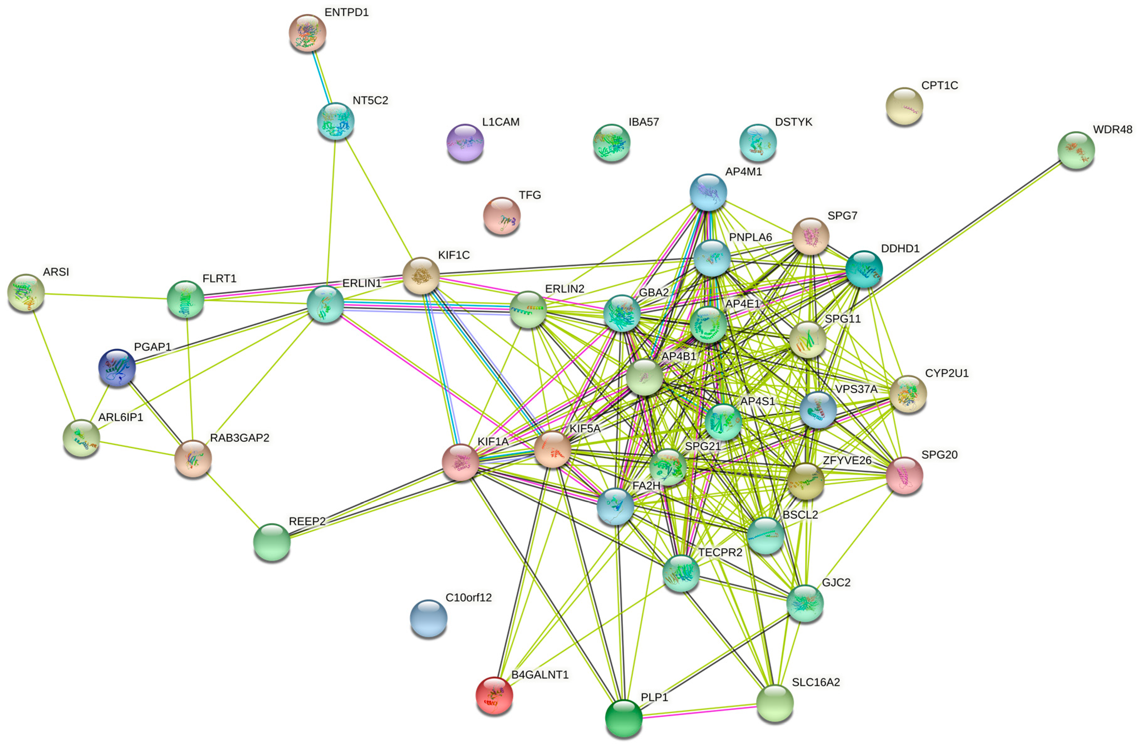 Brainsci 11 00403 g004 Brainsci 11 00403 g004