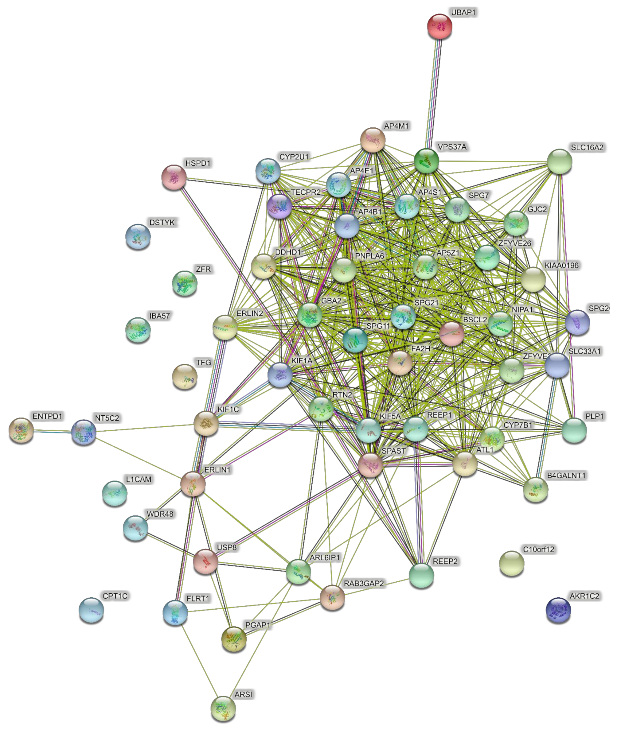 Brainsci 11 00403 g006 Brainsci 11 00403 g006