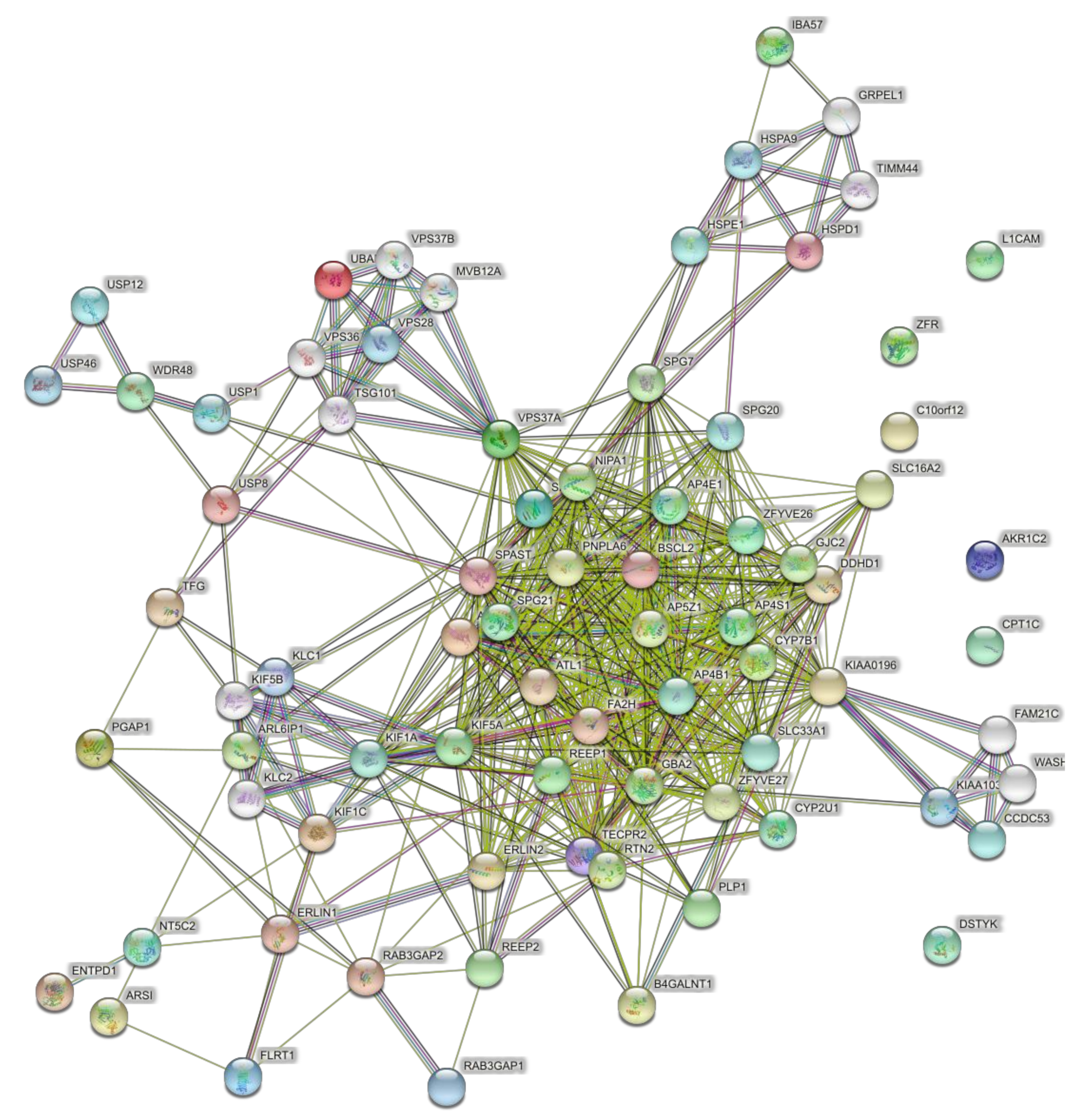 Brainsci 11 00403 g007 Brainsci 11 00403 g007