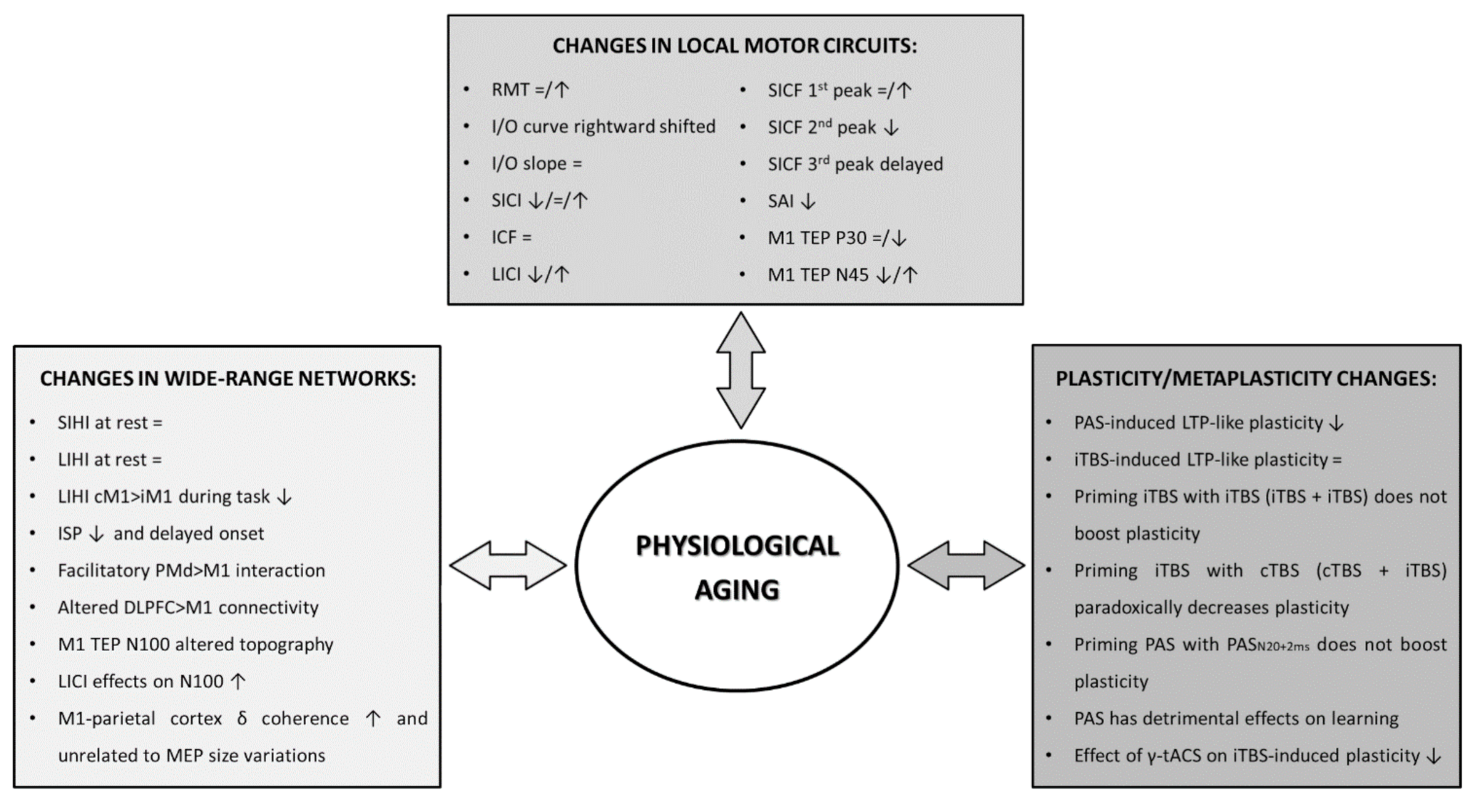 Brainsci 11 00405 g001 Brainsci 11 00405 g001