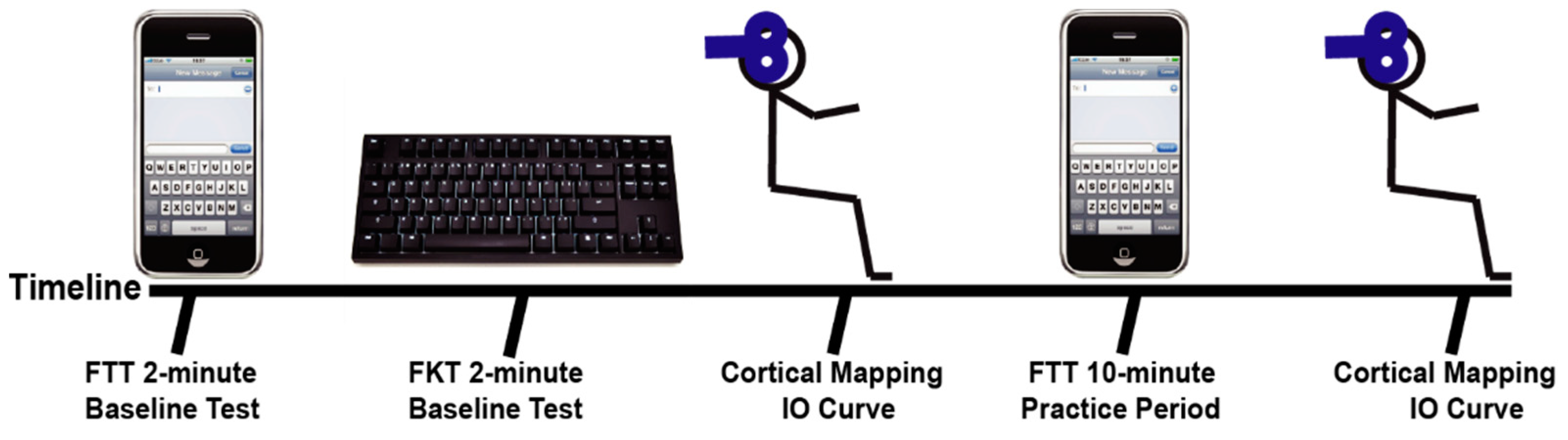 Brainsci 11 00406 g001