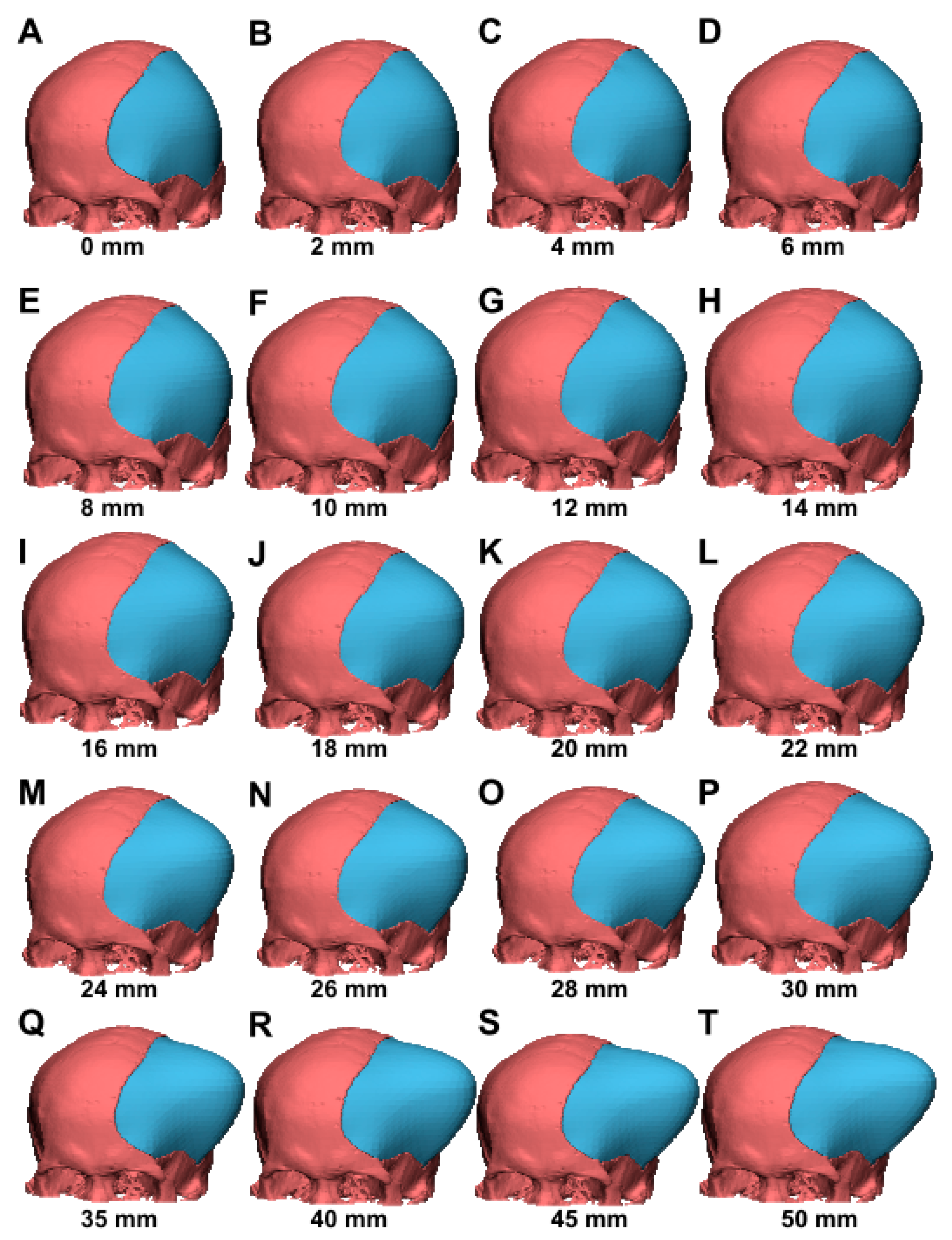 Brainsci 11 00428 g003