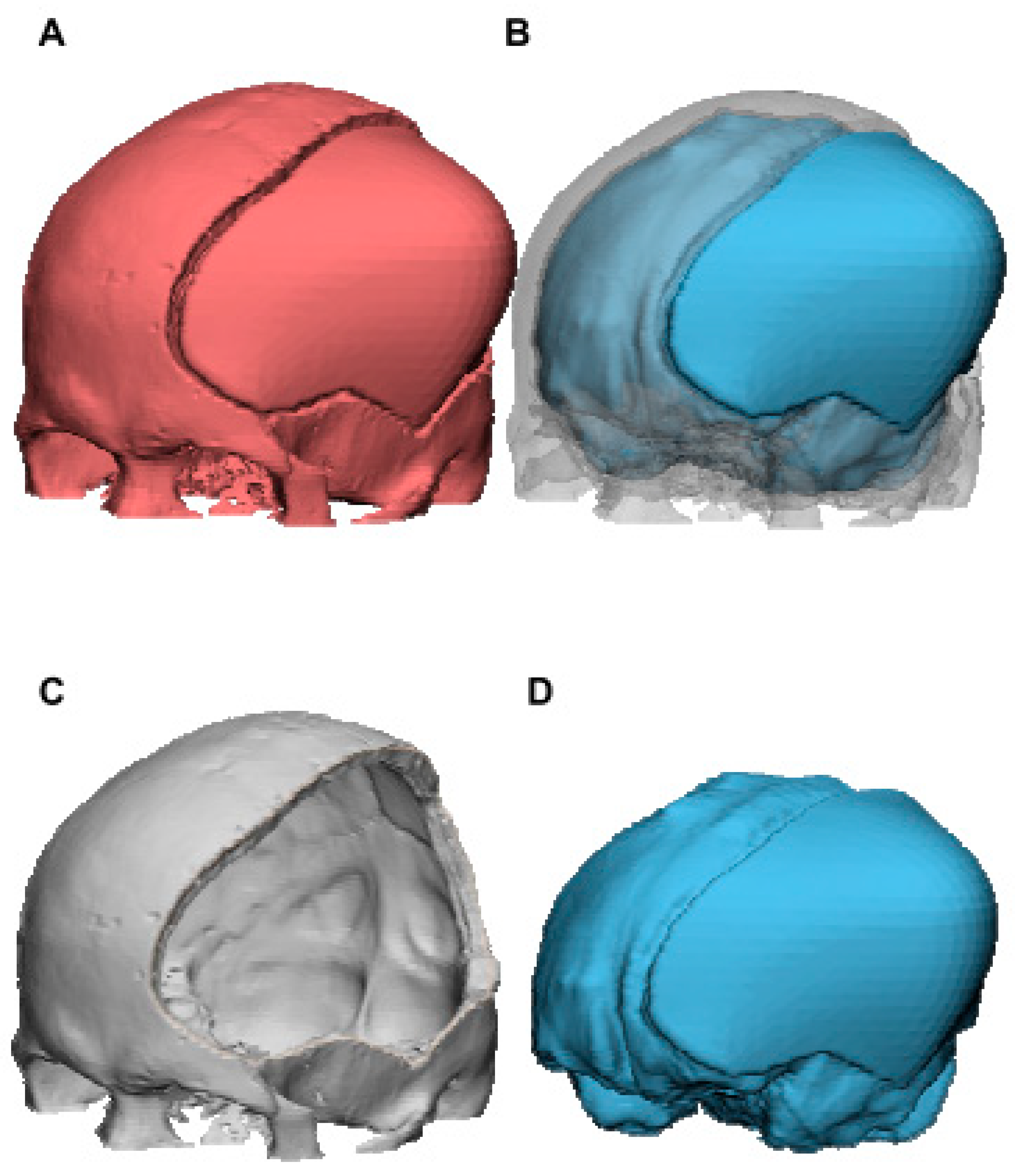 Brainsci 11 00428 g004