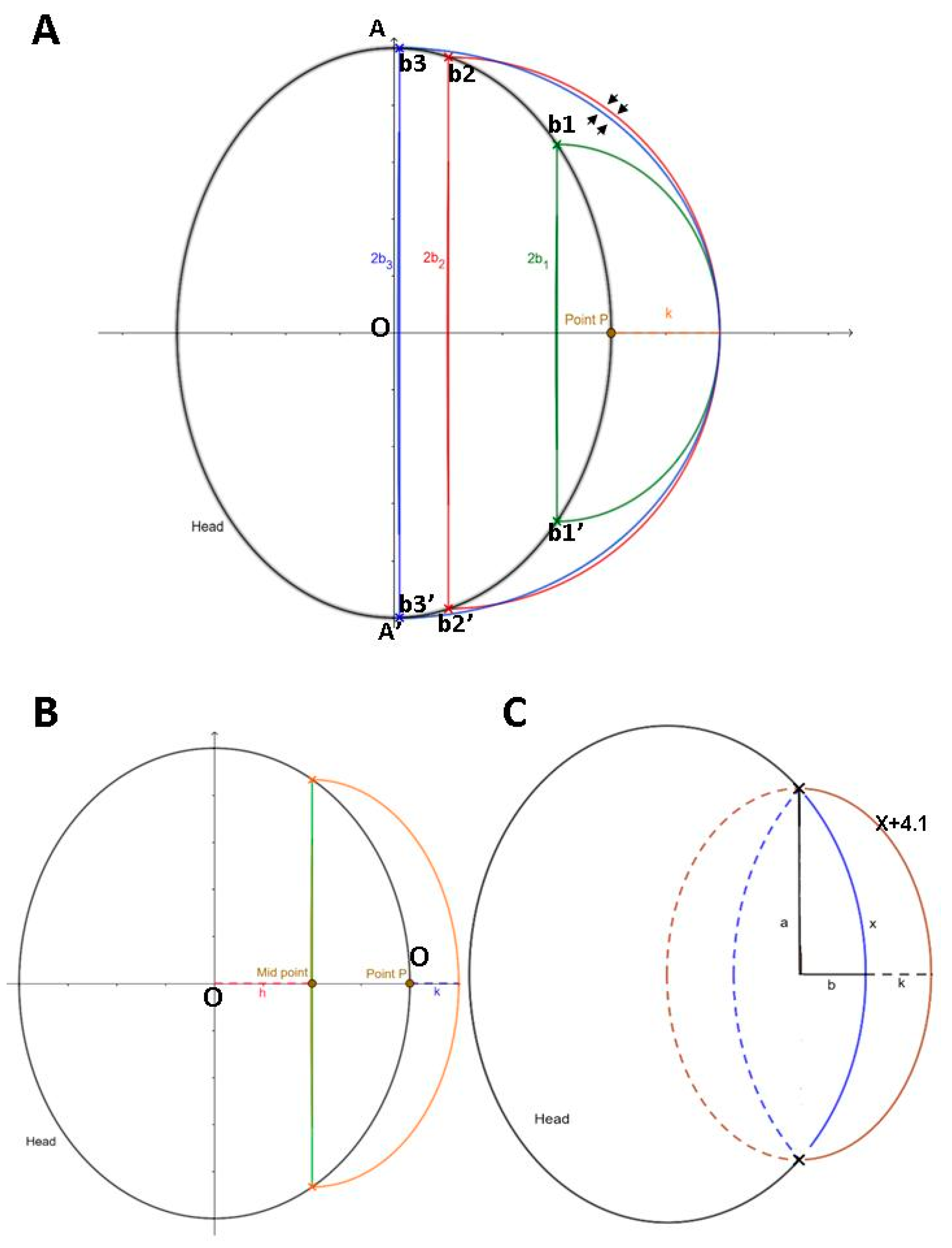 Brainsci 11 00428 g005