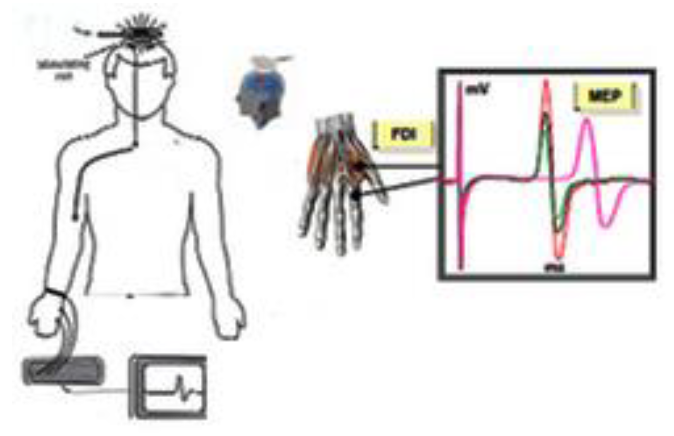 Brainsci 11 00432 g002