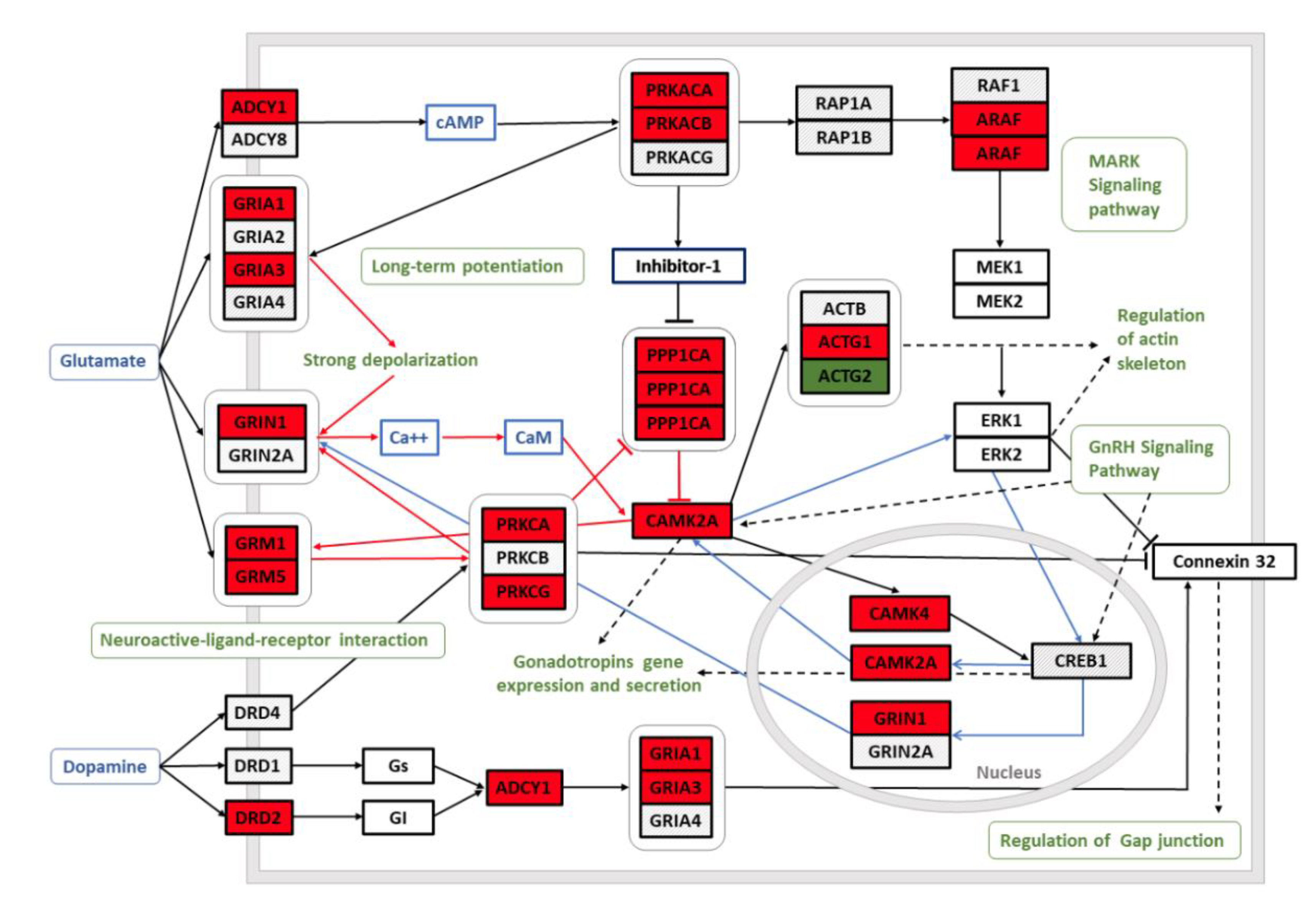 Brainsci 11 00435 g003