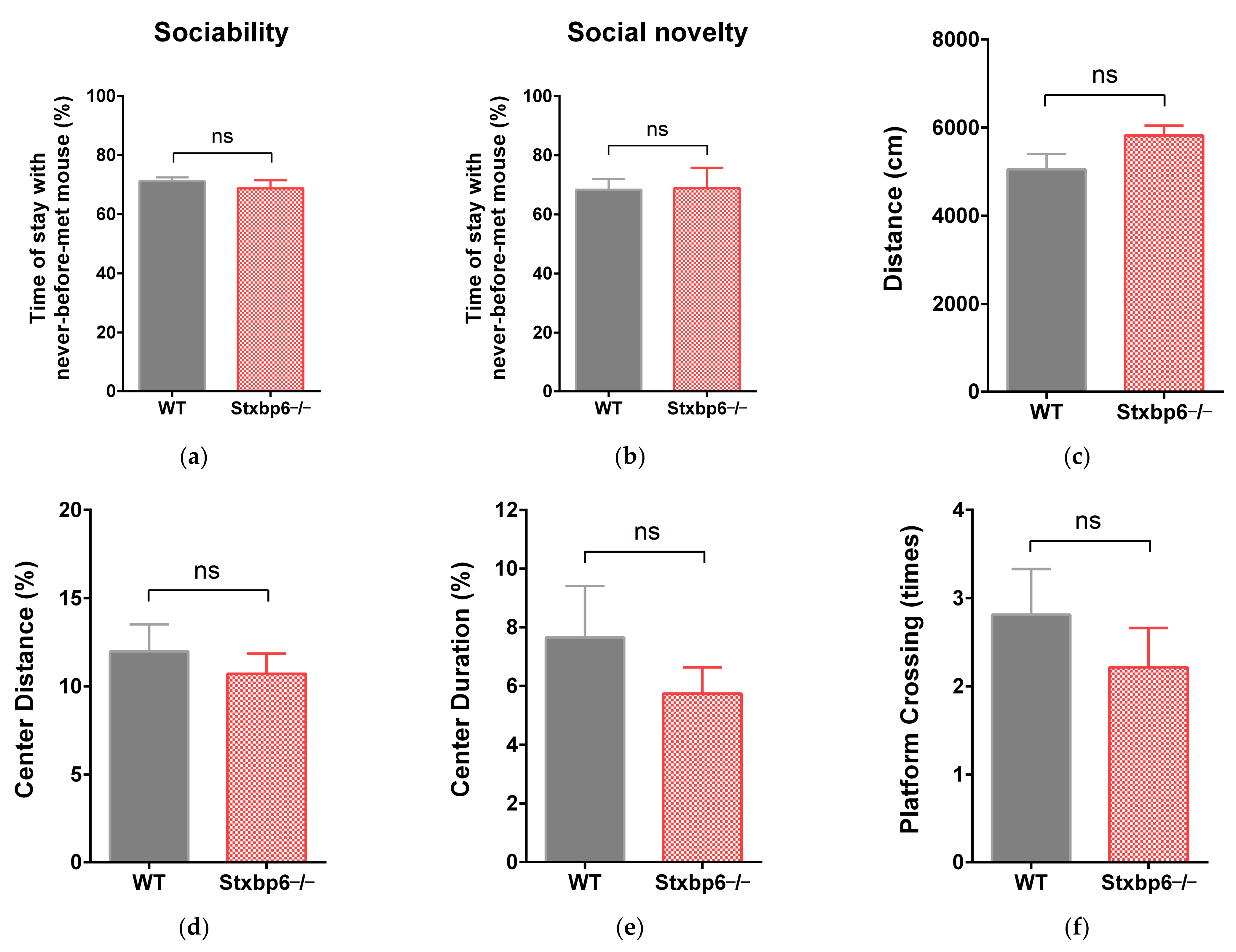 Brainsci 11 00436 g002a Brainsci 11 00436 g002a
