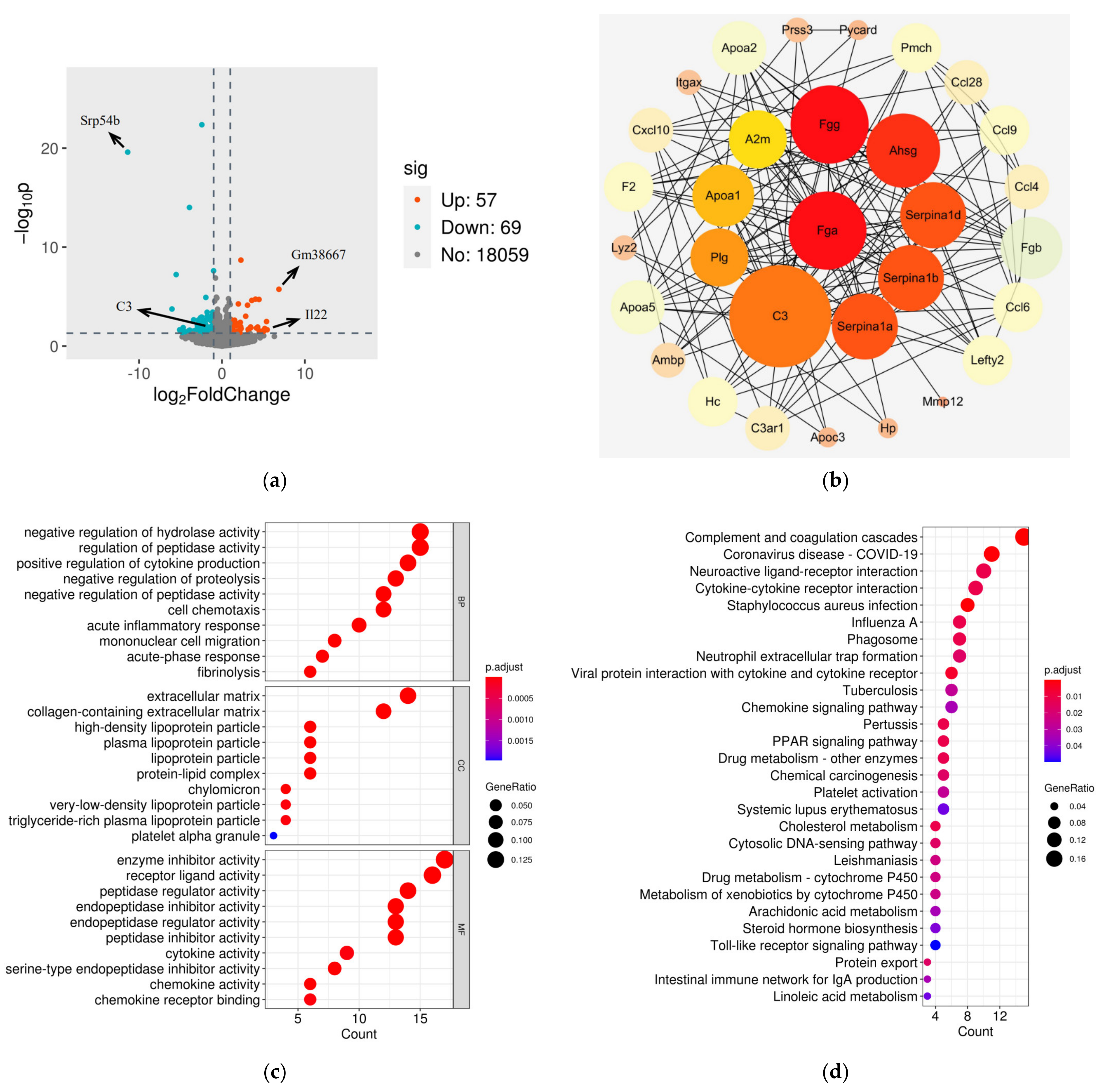Brainsci 11 00436 g003 Brainsci 11 00436 g003