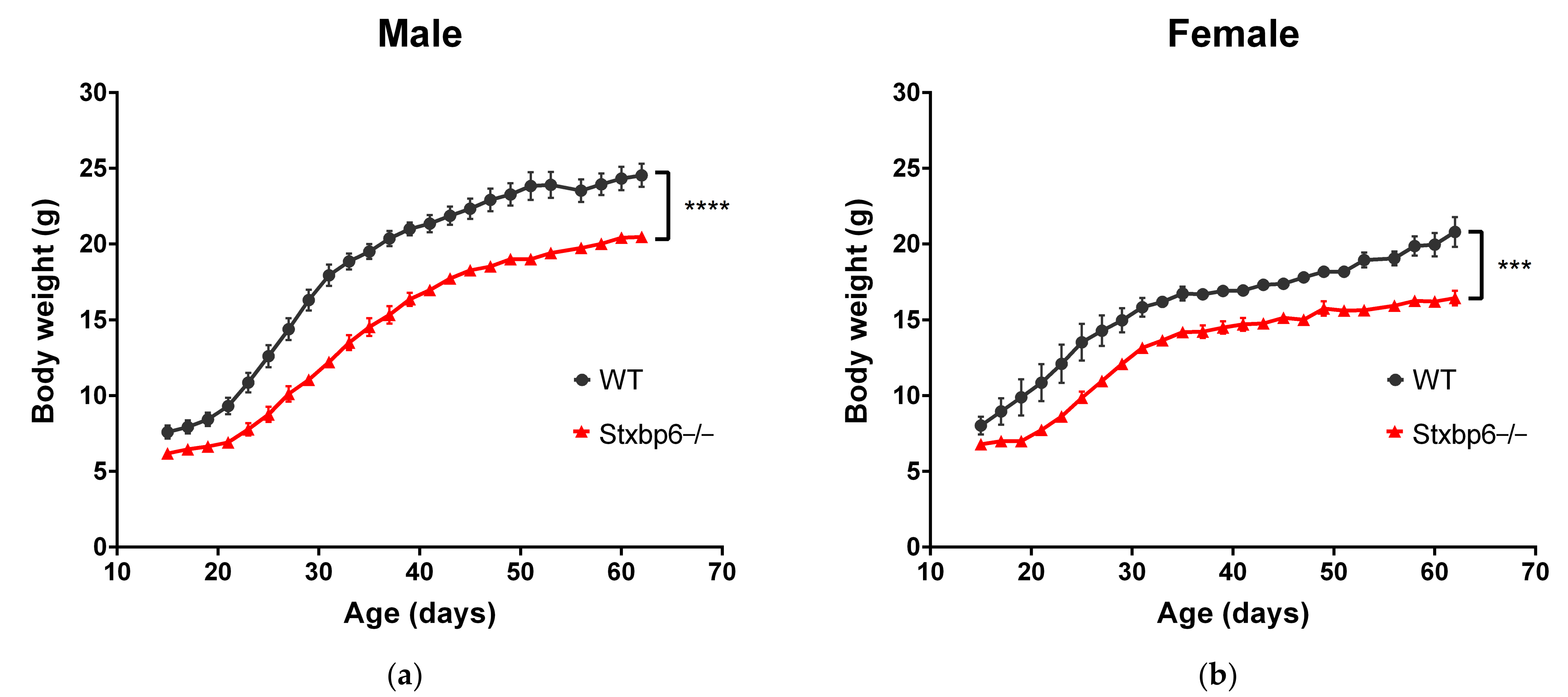 Brainsci 11 00436 g004 Brainsci 11 00436 g004