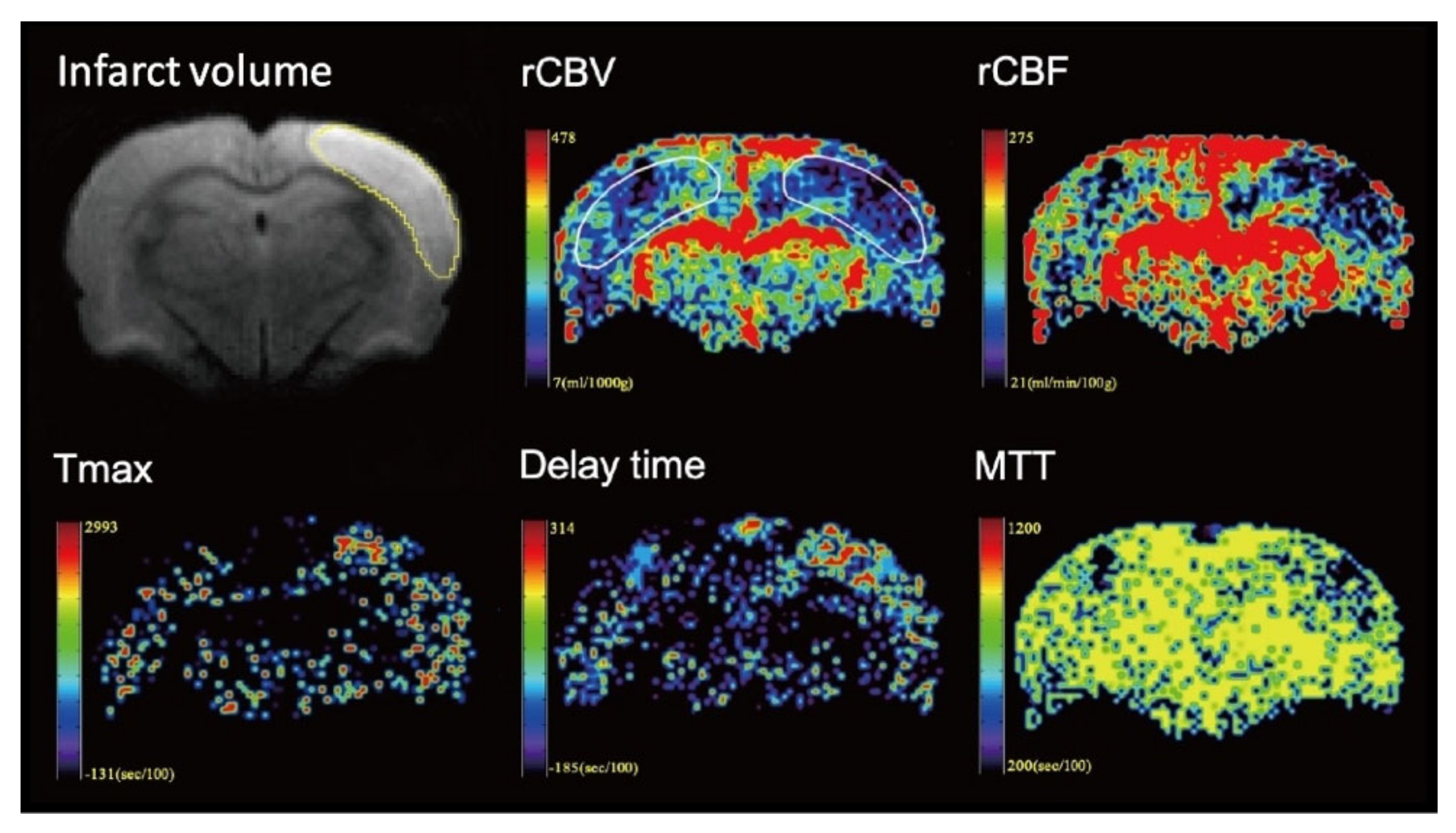 Brainsci 11 00439 g002 Brainsci 11 00439 g002