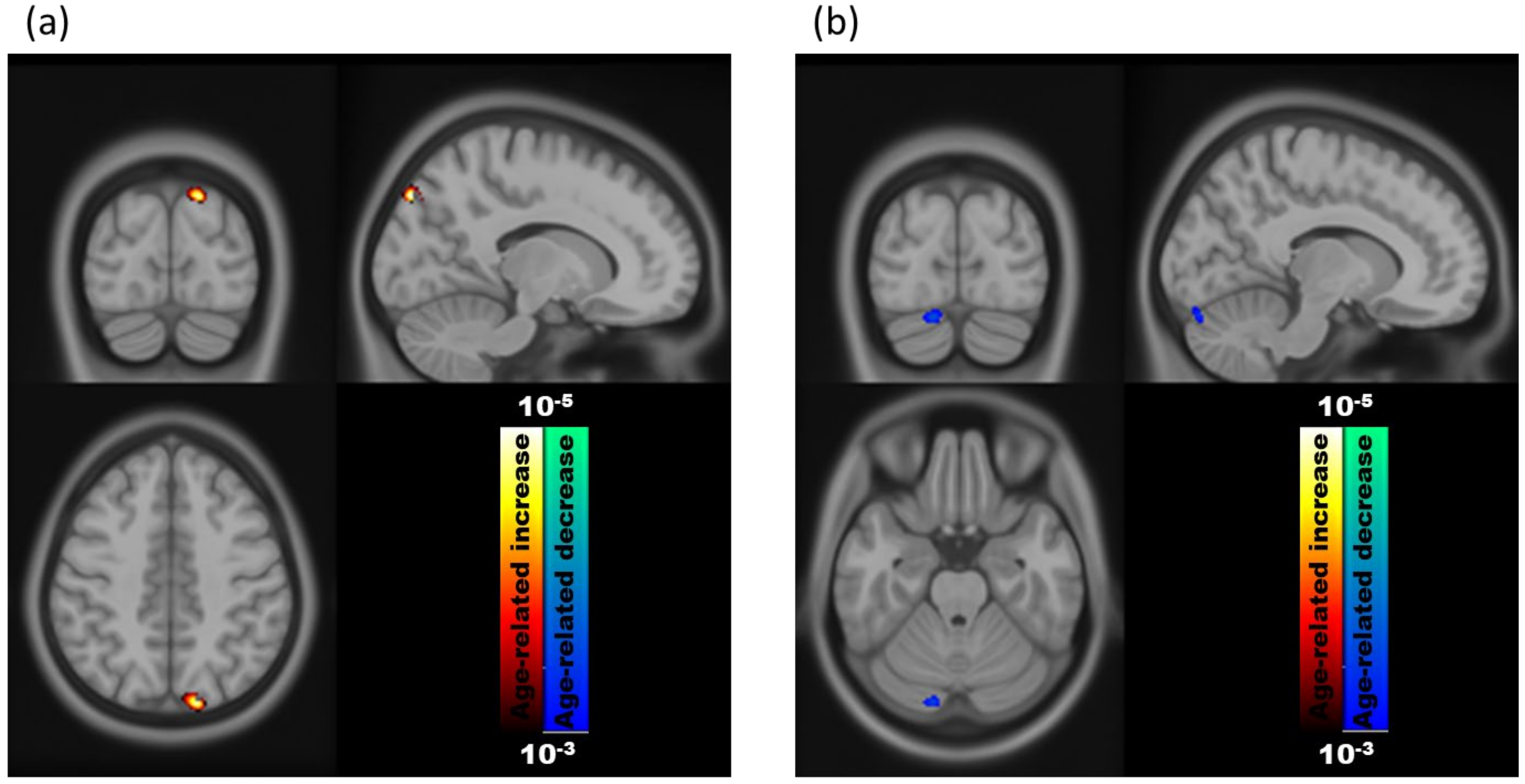 Brainsci 11 00447 g002 Brainsci 11 00447 g002