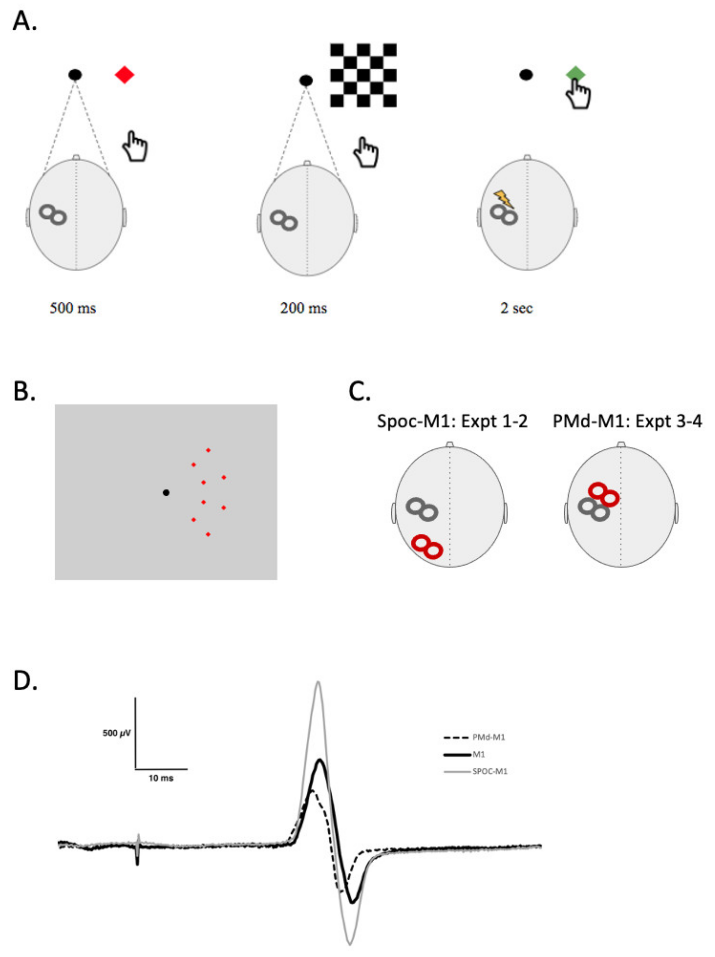 Brainsci 11 00452 g001