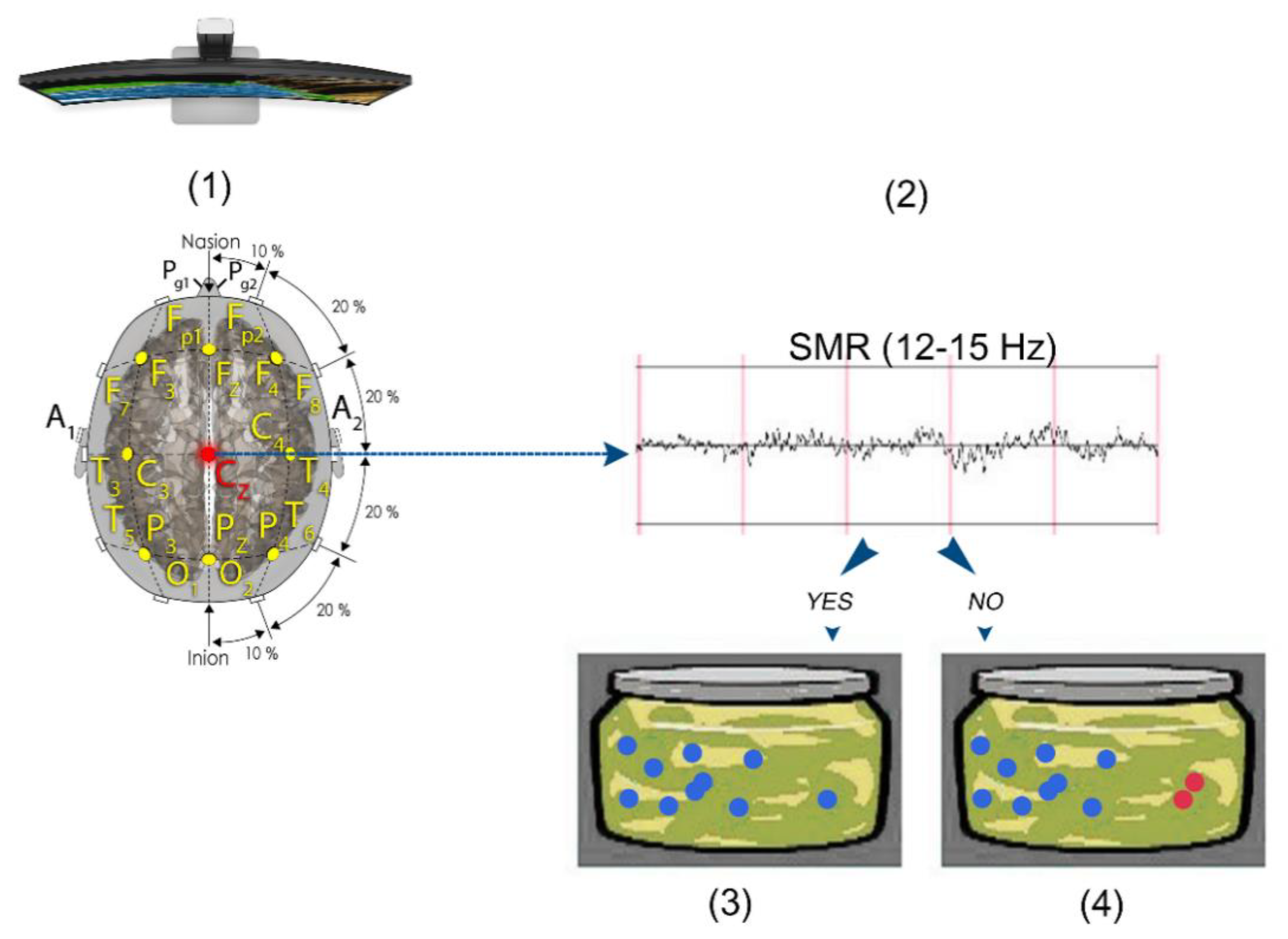 Brainsci 11 00457 g002