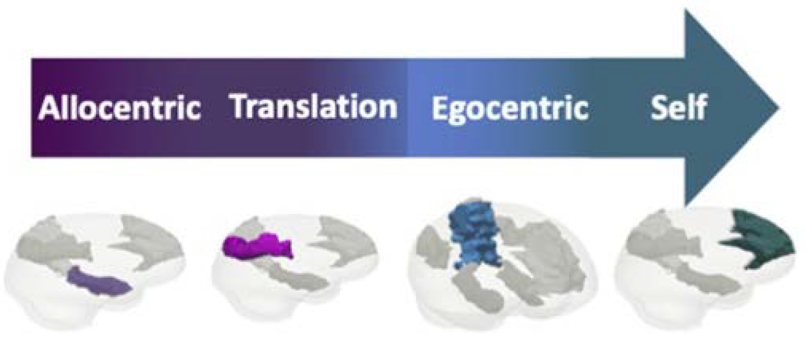 Brainsci 11 00460 g007 Brainsci 11 00460 g007