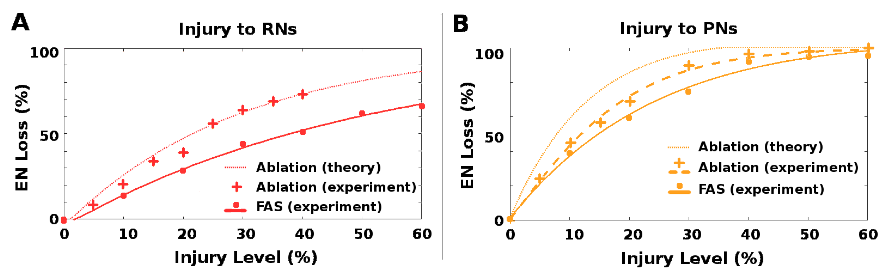 Brainsci 11 00462 g008