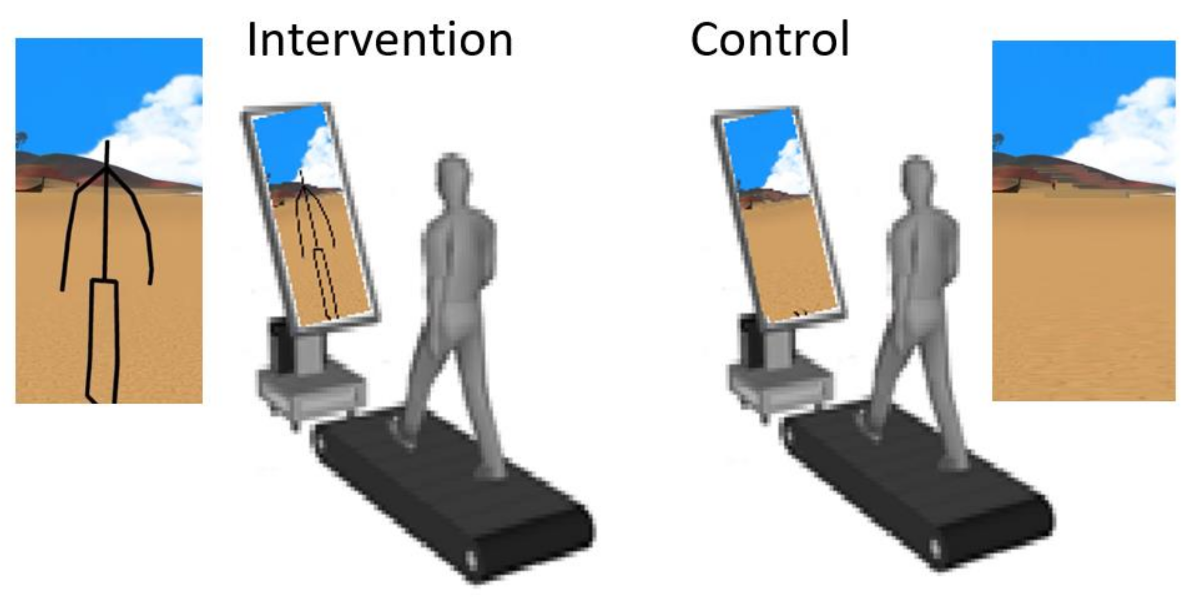 Brainsci 11 00464 g001