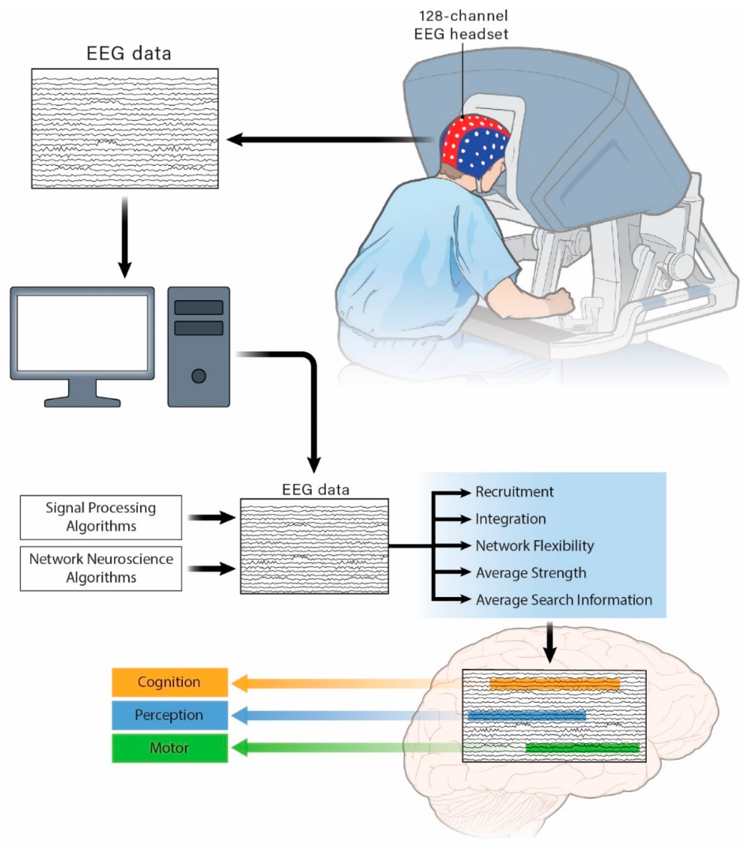 Brain Sciences Free Full Text Association Between Functional Brain Network Metrics And Surgeon Performance And Distraction In The Operating Room Html