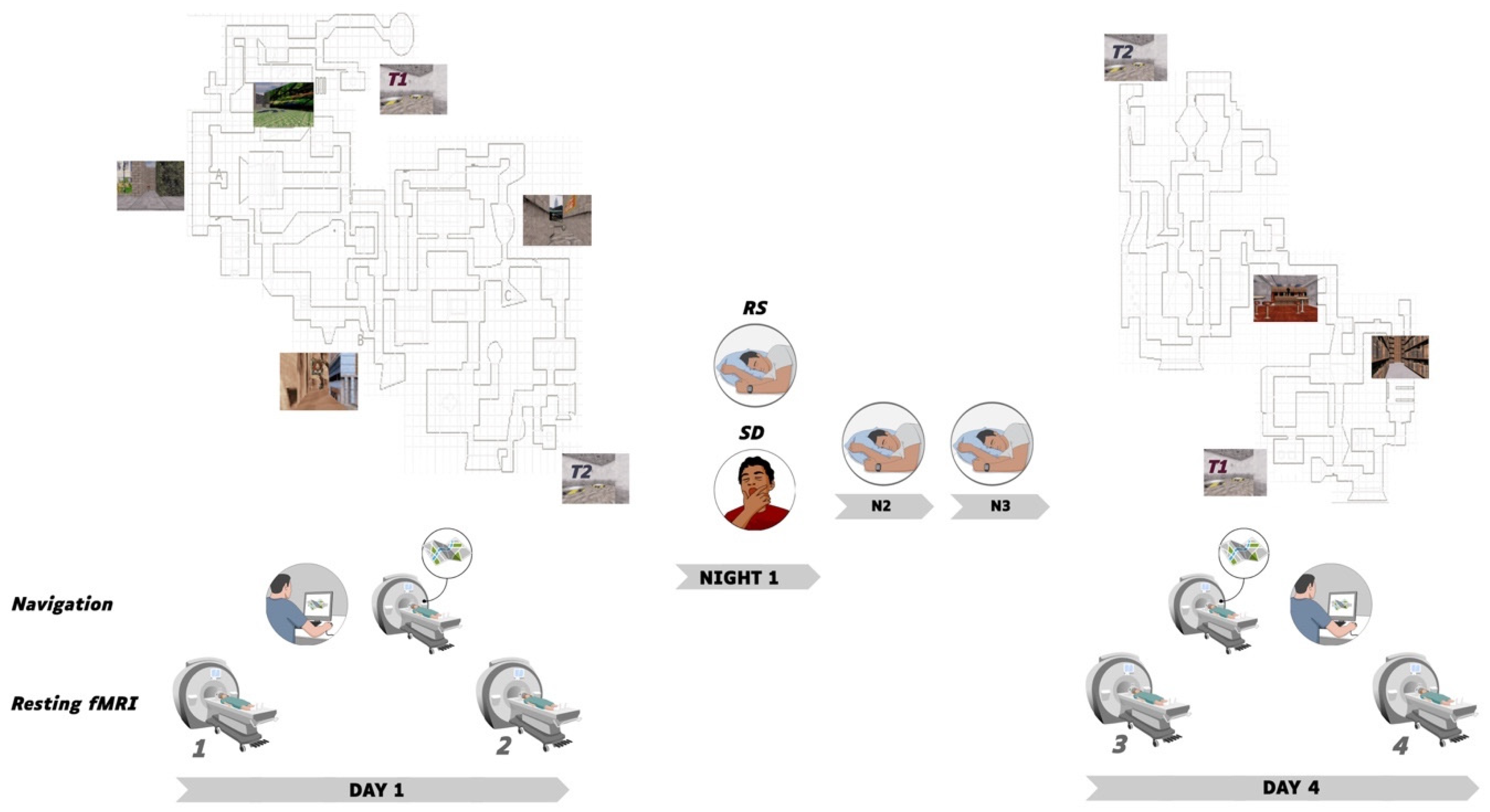 Brainsci 11 00476 g001 Brainsci 11 00476 g001