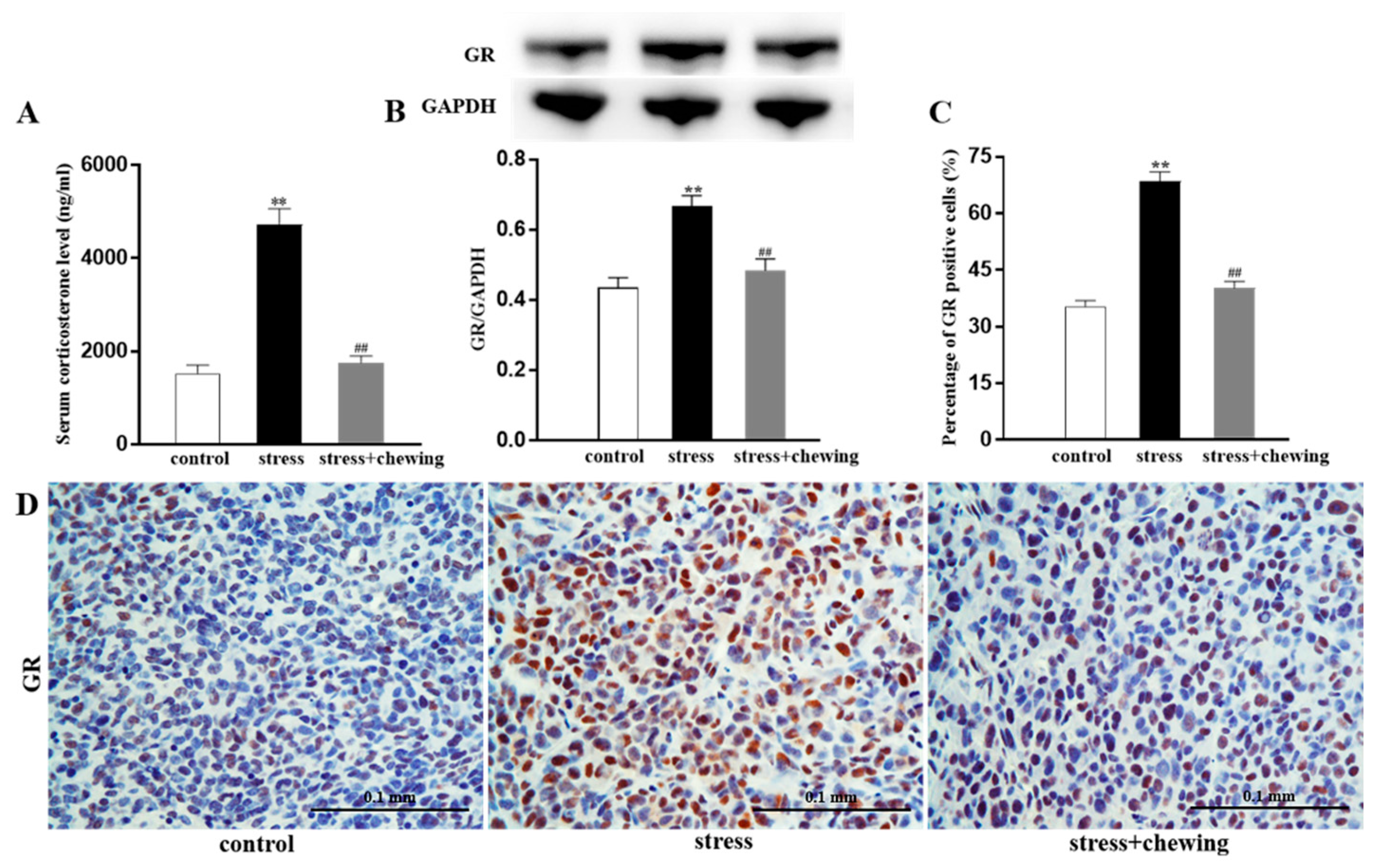 Brainsci 11 00479 g003