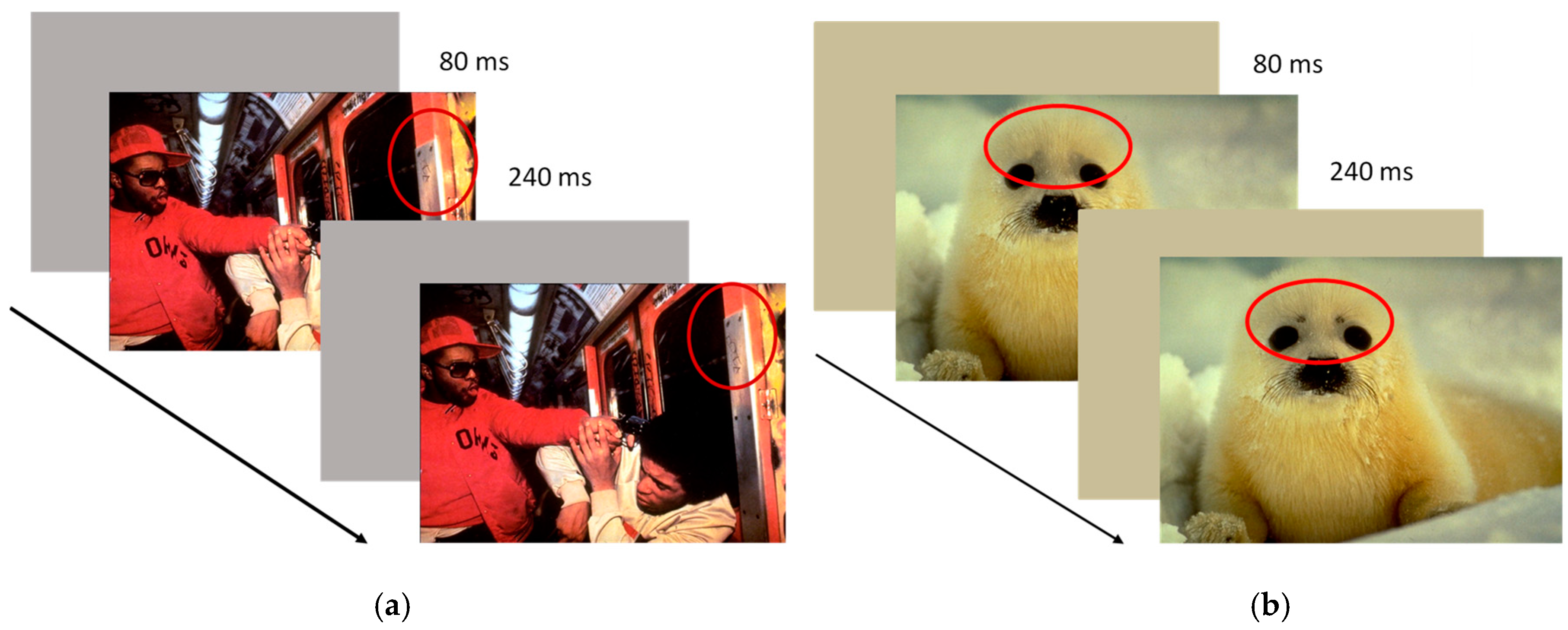 Brainsci 11 00480 g001 Brainsci 11 00480 g001