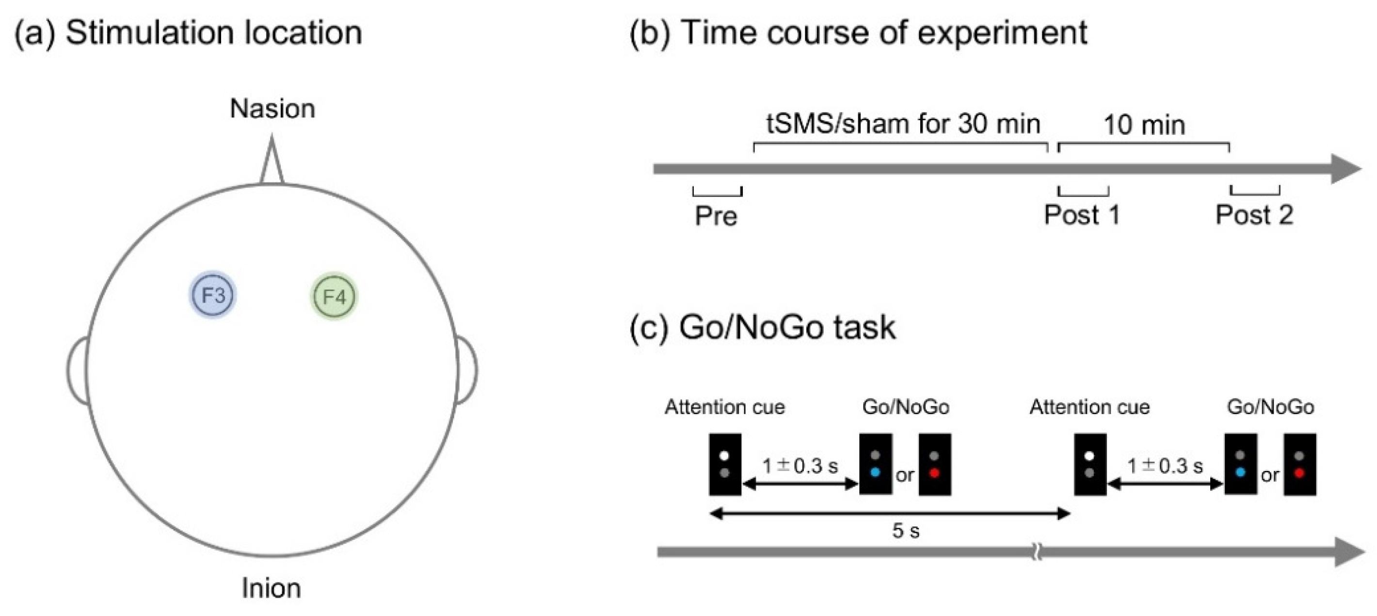 Brainsci 11 00483 g001 Brainsci 11 00483 g001