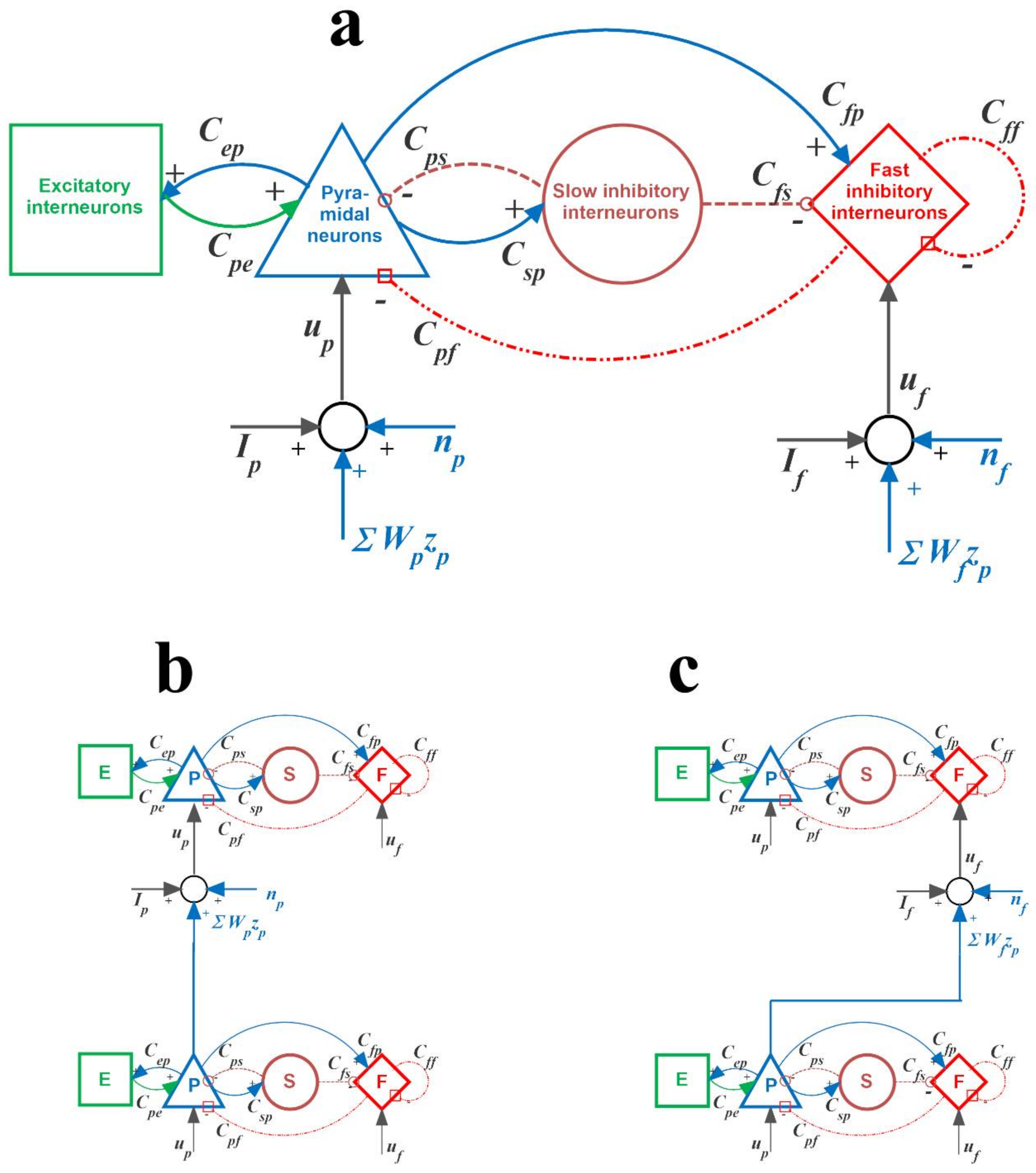 Brainsci 11 00487 g001