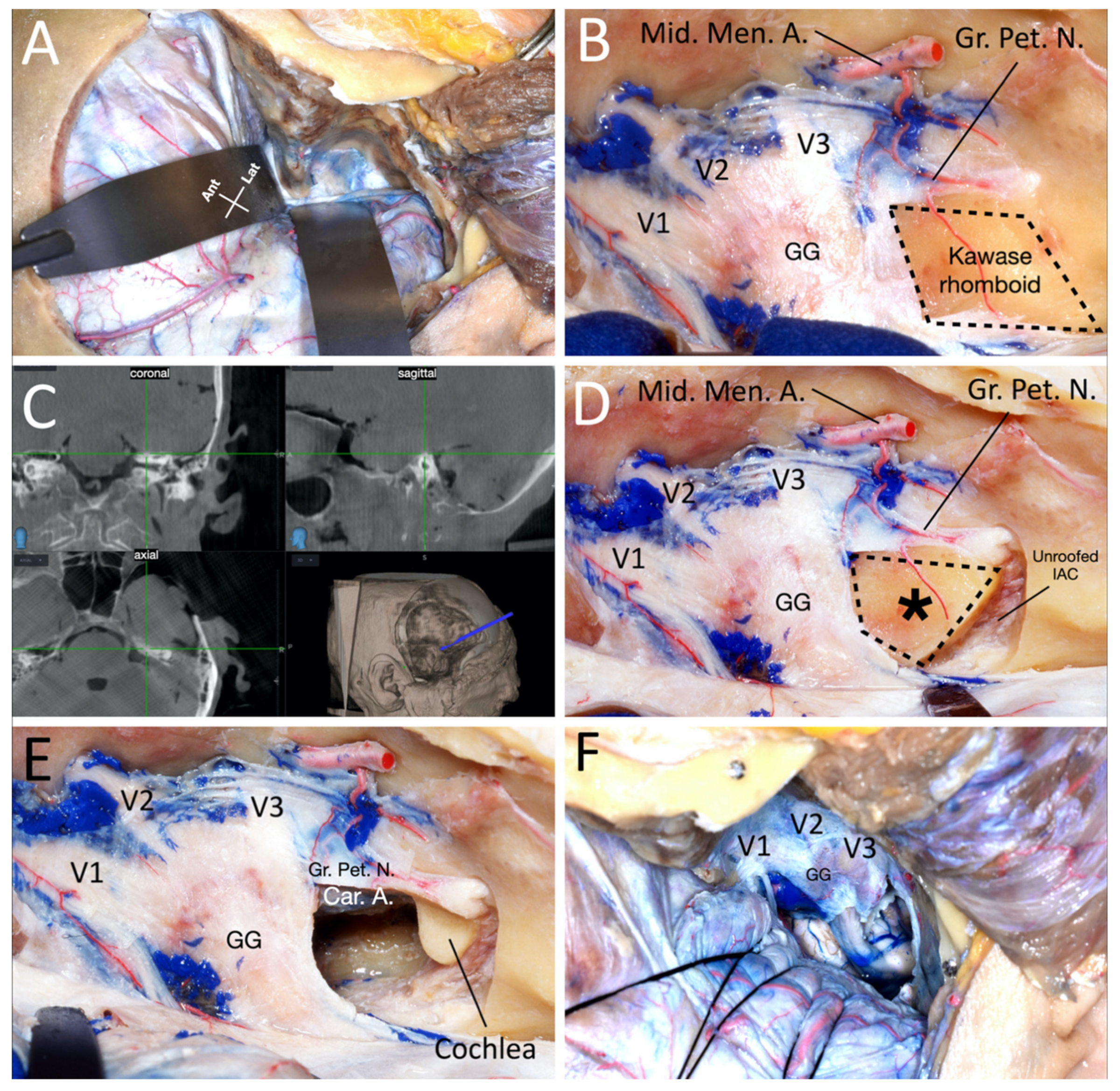 Brainsci 11 00488 g003