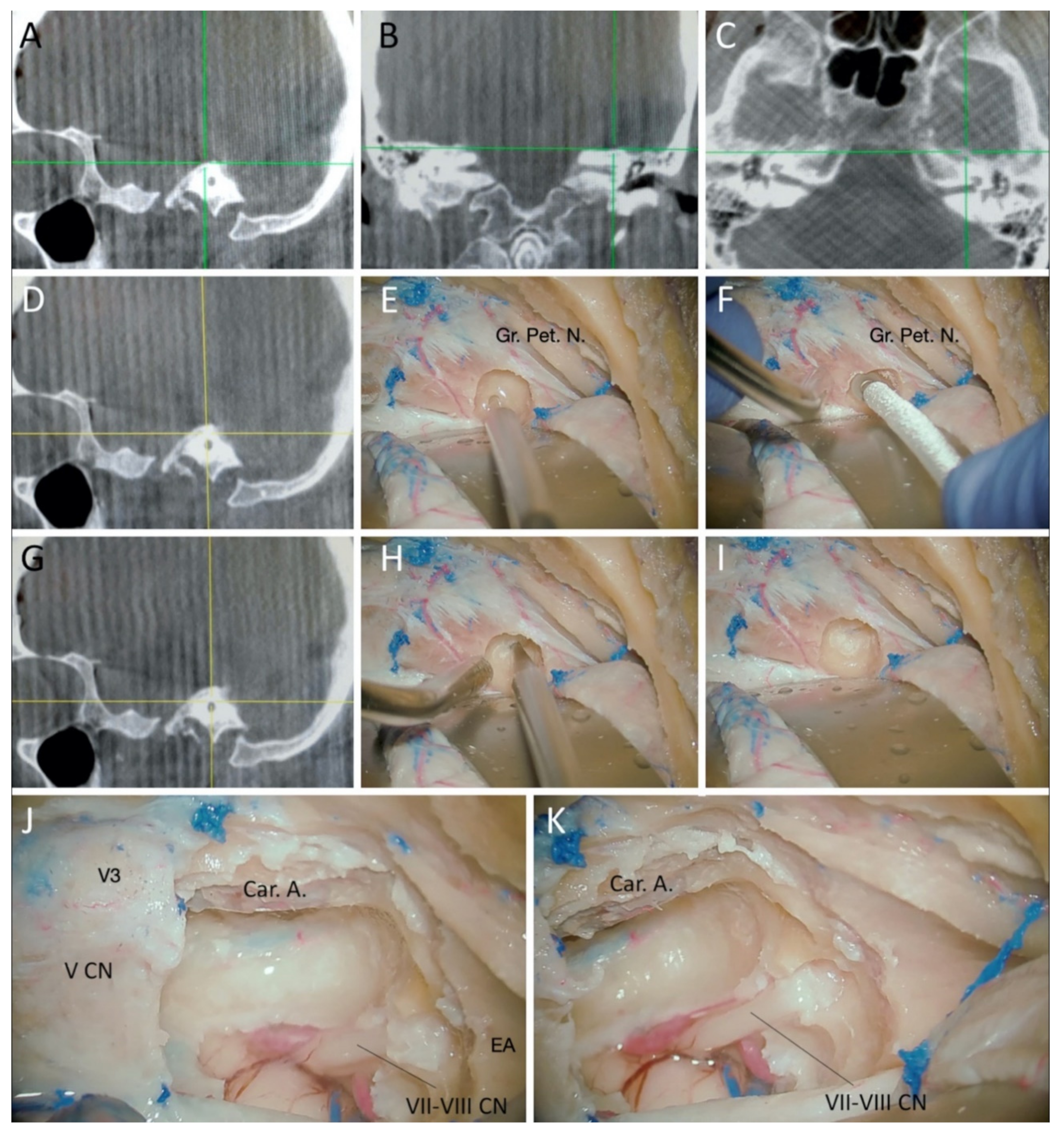 Brainsci 11 00488 g004