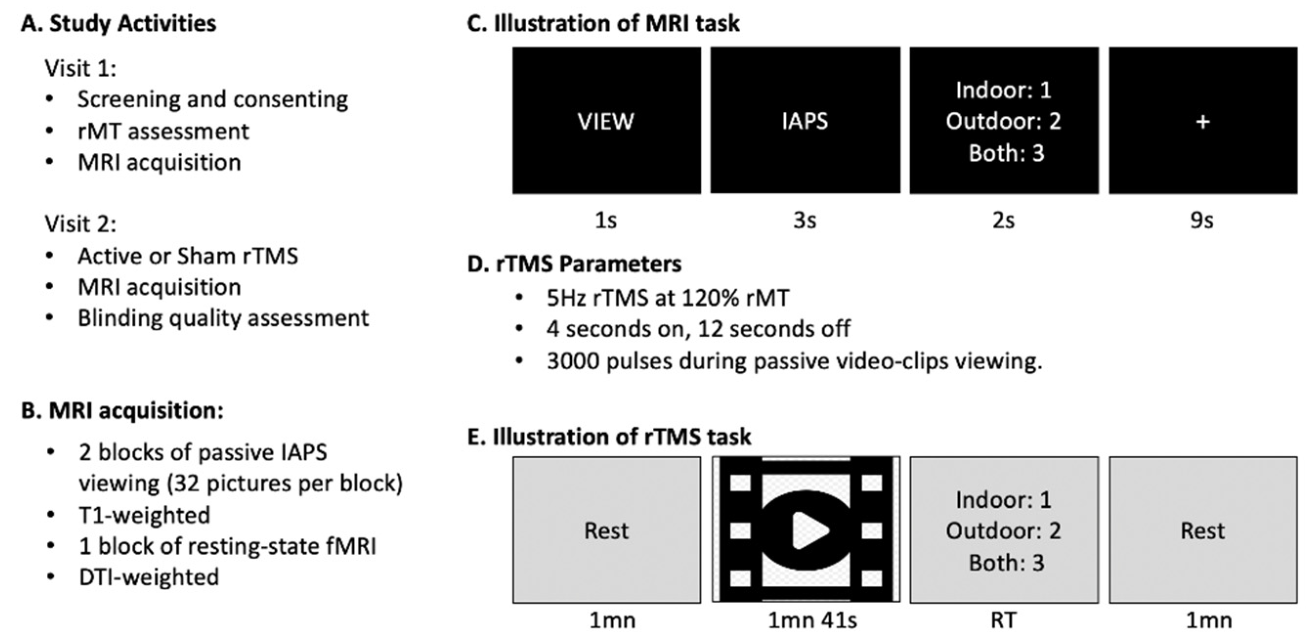 Brainsci 11 00494 g002