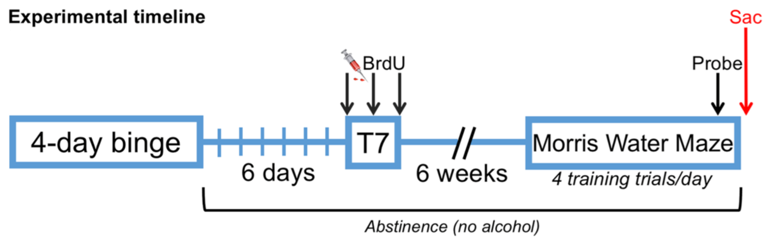 Brainsci 11 00499 g001 Brainsci 11 00499 g001