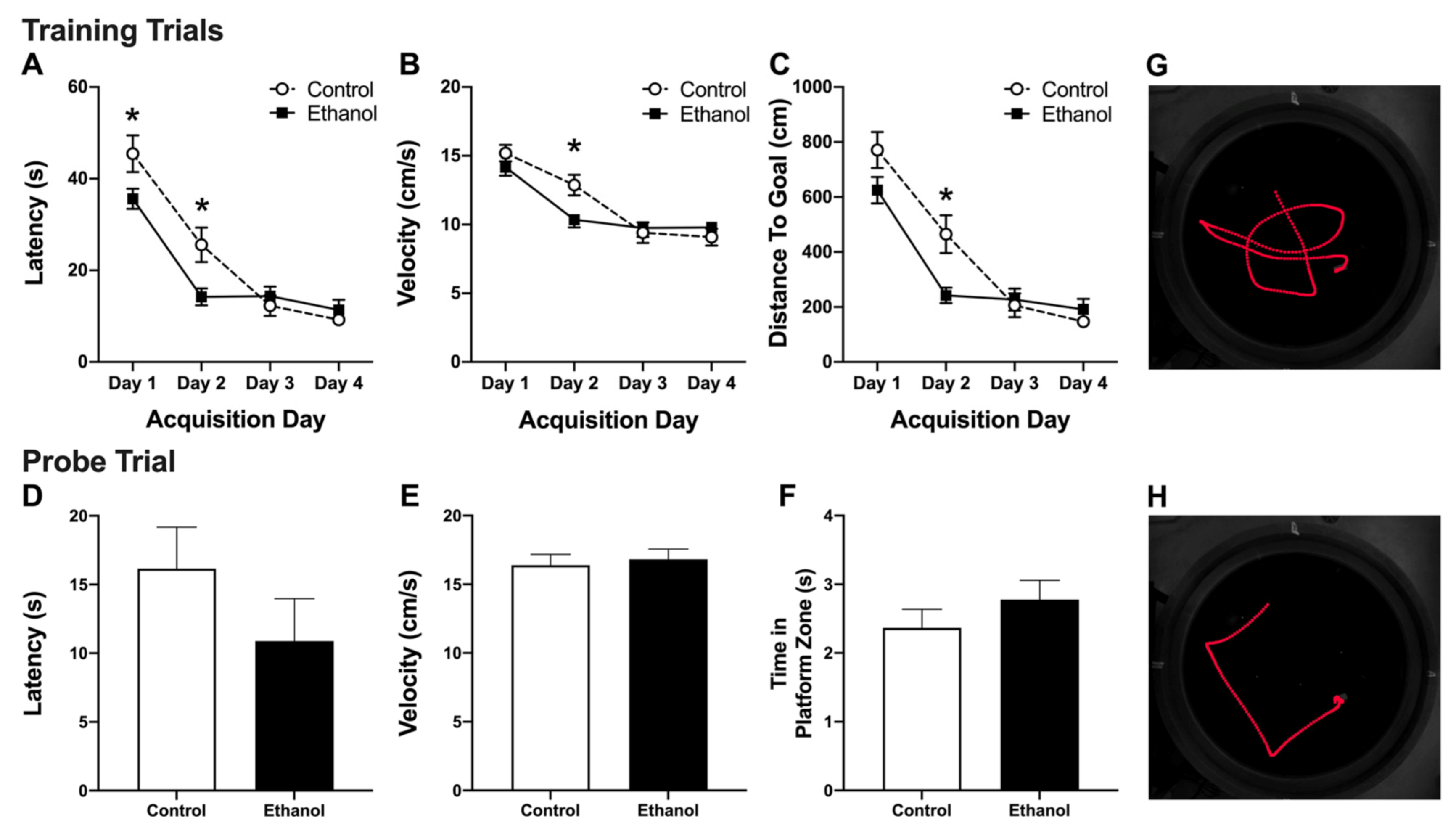 Brainsci 11 00499 g002 Brainsci 11 00499 g002
