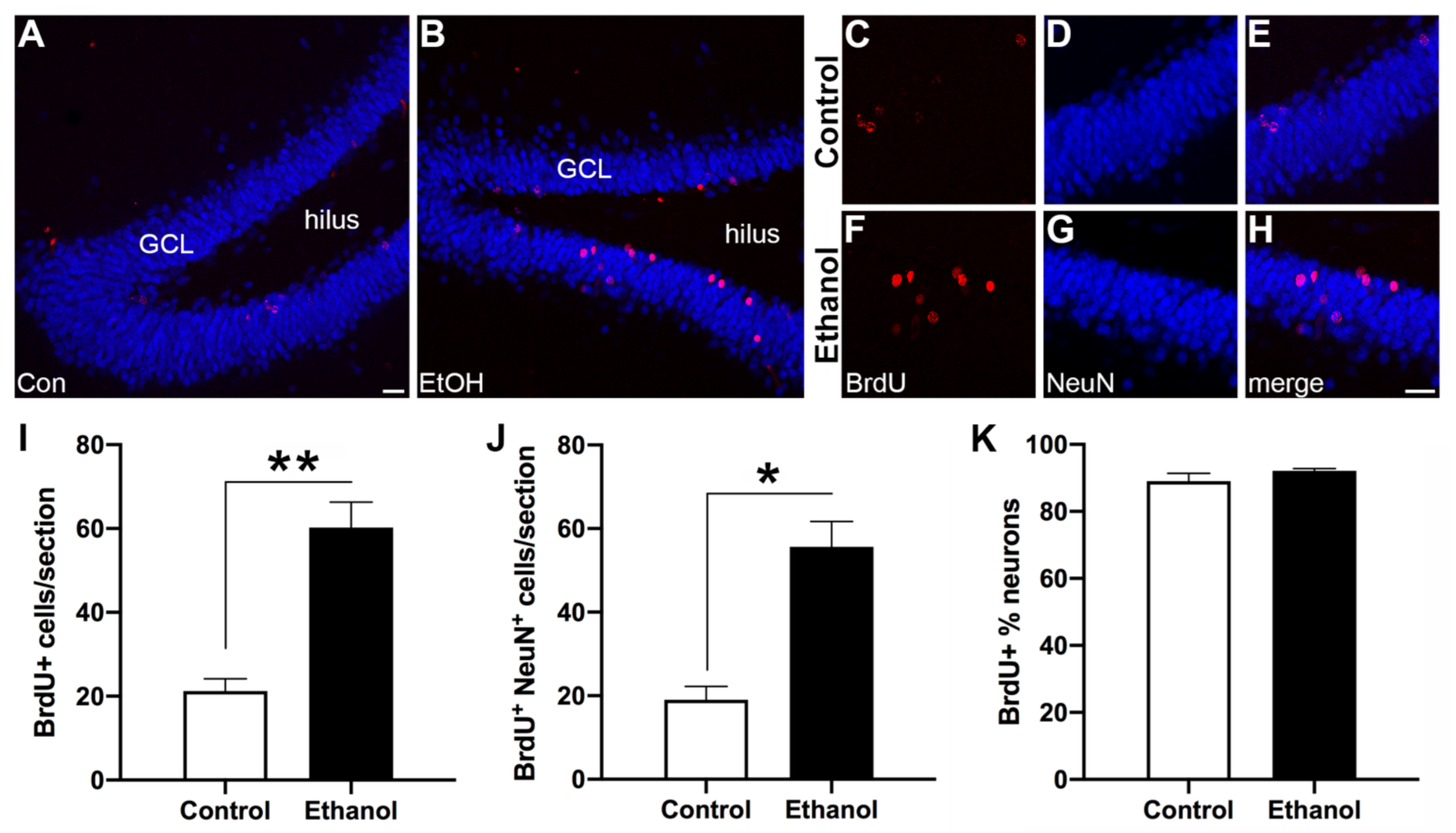 Brainsci 11 00499 g003 Brainsci 11 00499 g003