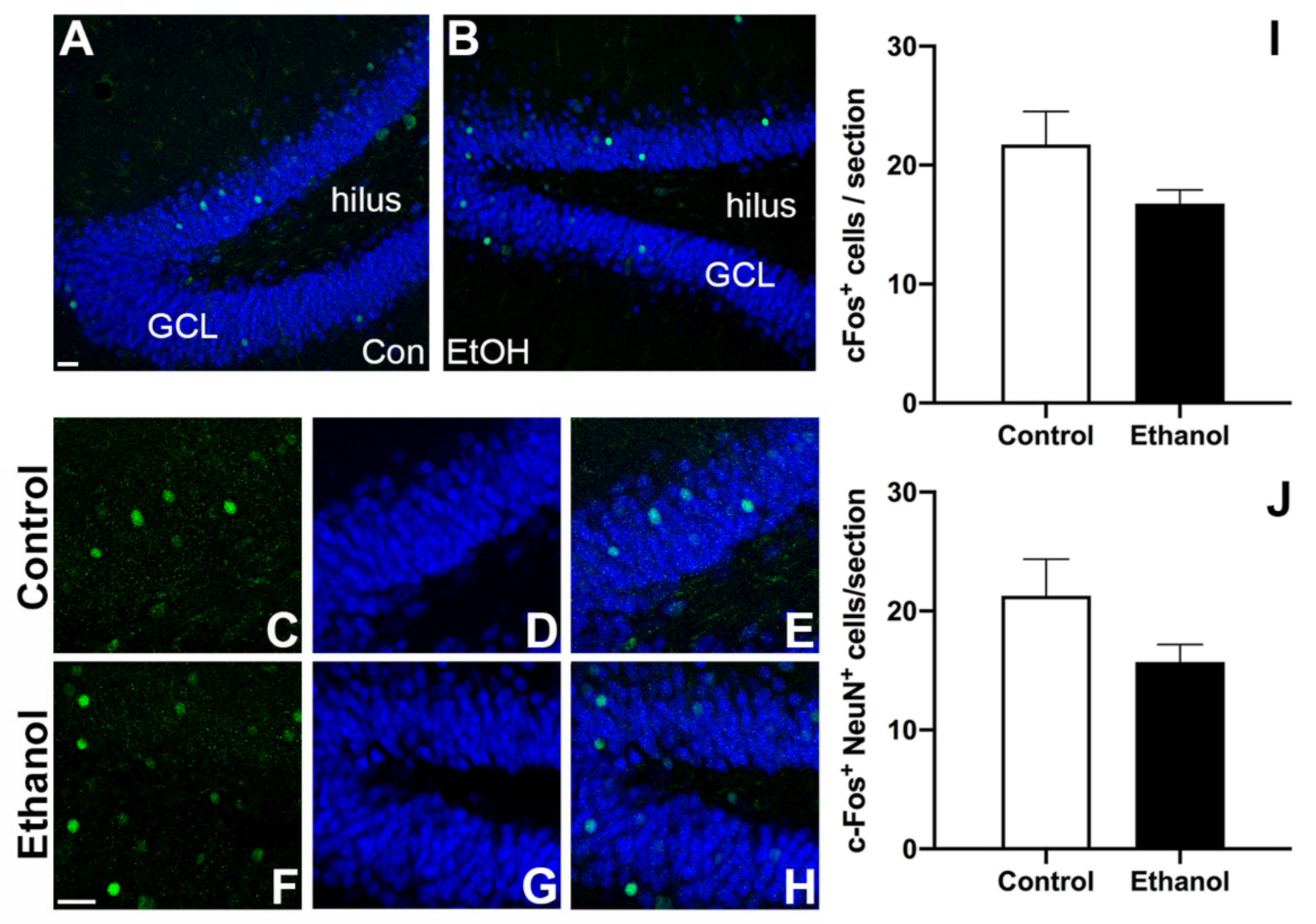 Brainsci 11 00499 g004 Brainsci 11 00499 g004