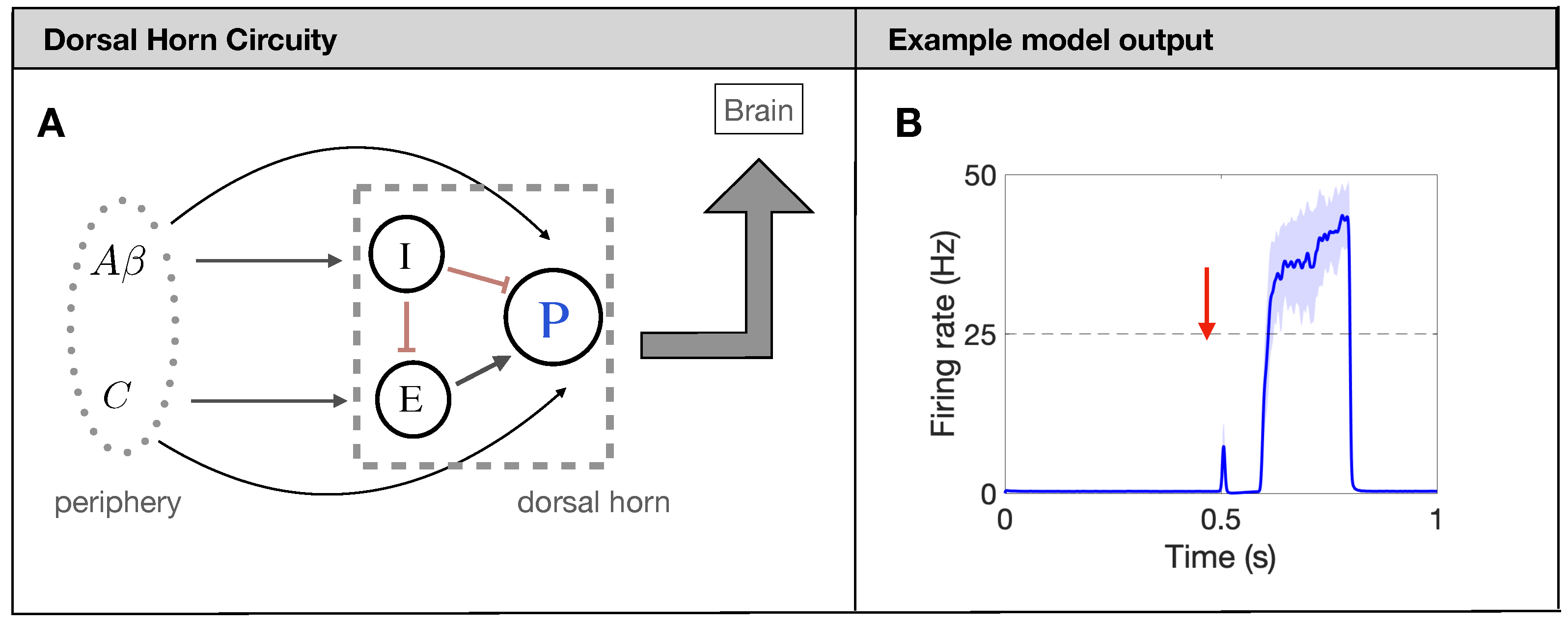Brainsci 11 00505 g001 Brainsci 11 00505 g001