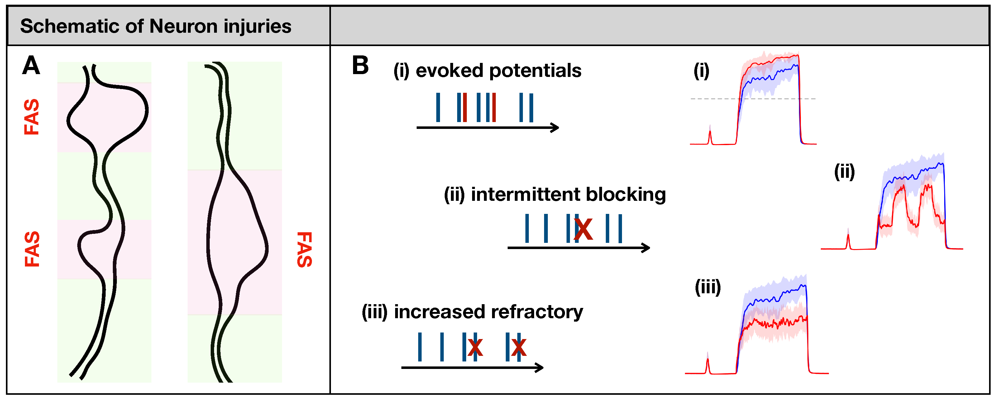Brainsci 11 00505 g002 Brainsci 11 00505 g002