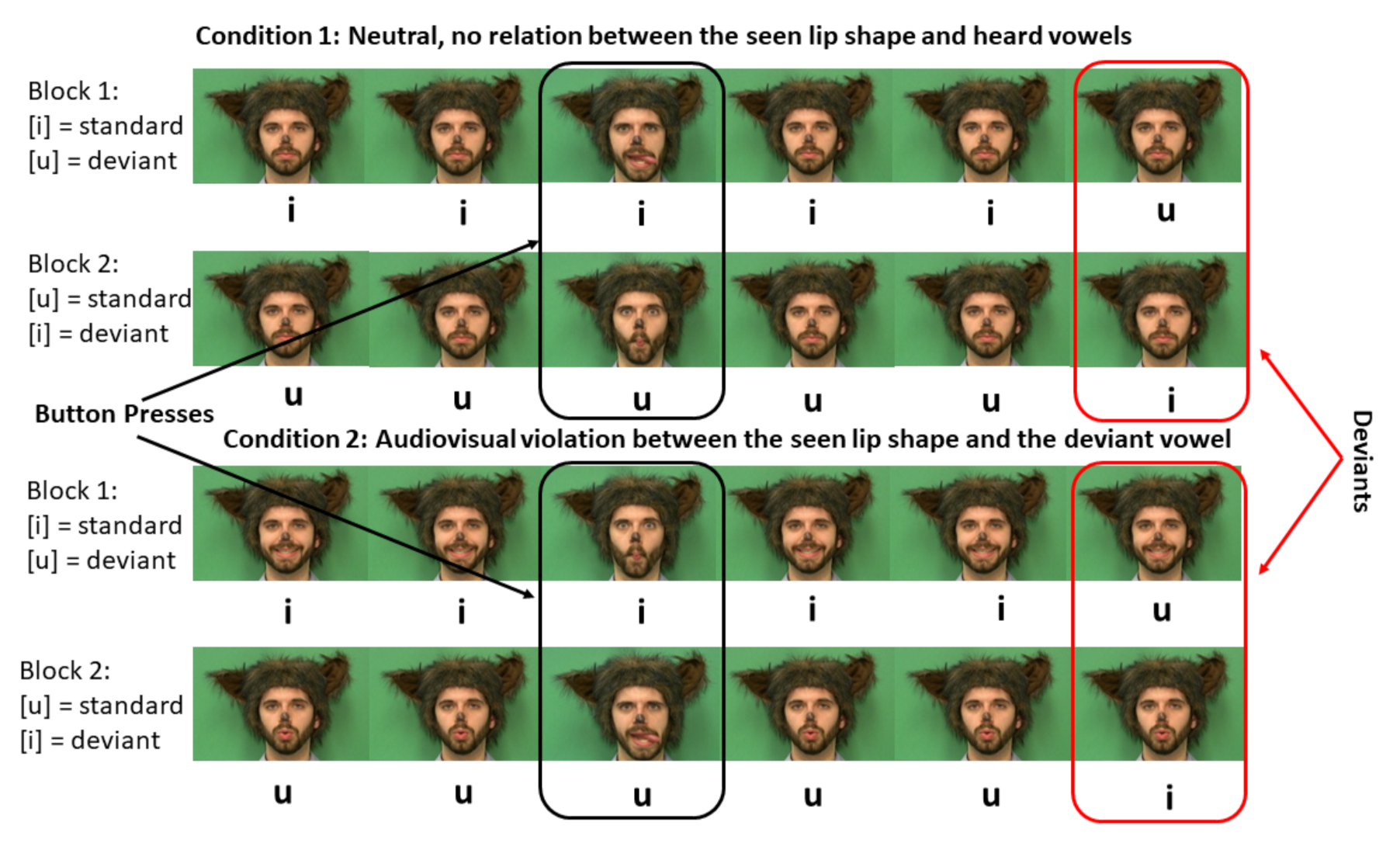 Brainsci 11 00507 g001 Brainsci 11 00507 g001