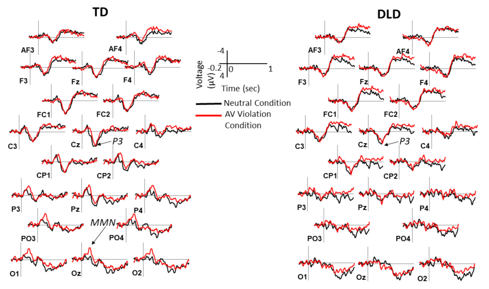 Brainsci 11 00507 g004 Brainsci 11 00507 g004