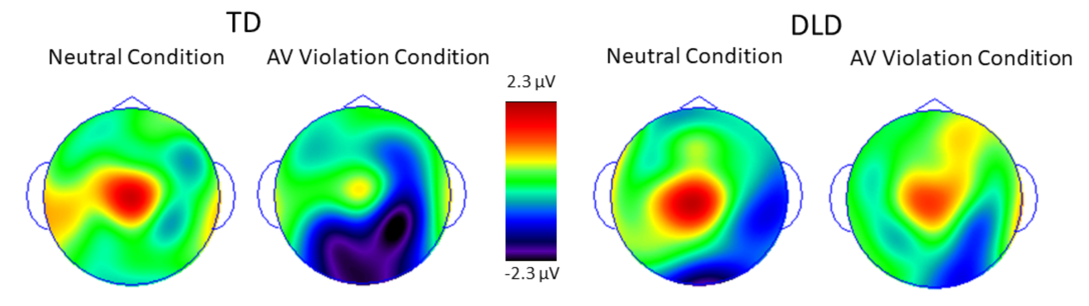 Brainsci 11 00507 g005 Brainsci 11 00507 g005