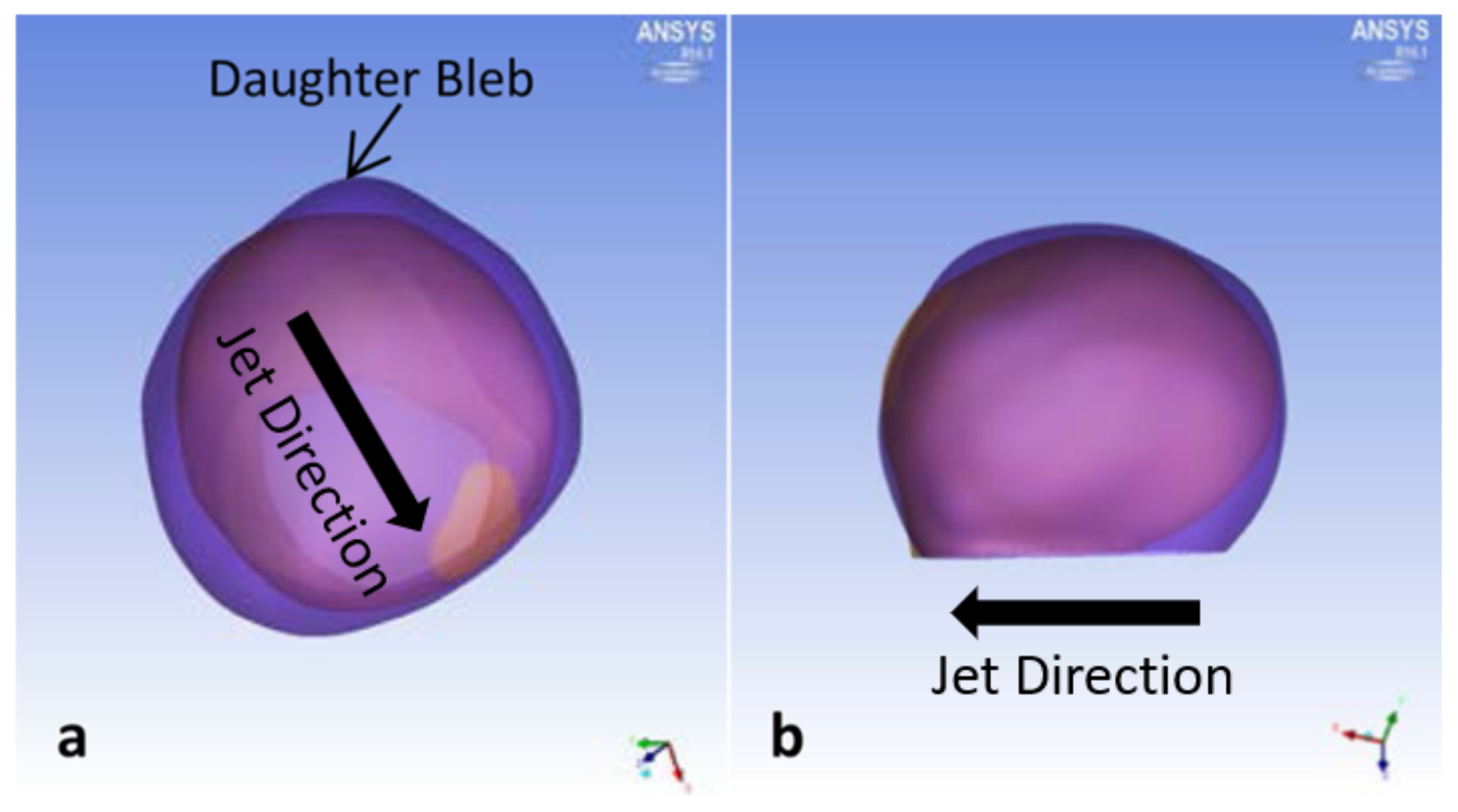 Brainsci 11 00520 g002 Brainsci 11 00520 g002