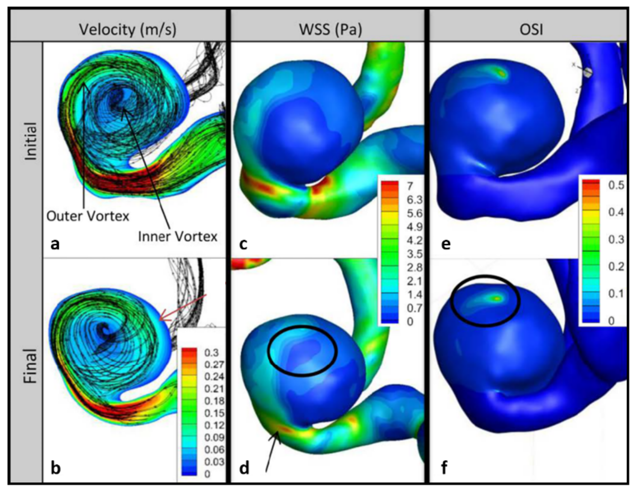Brainsci 11 00520 g003 Brainsci 11 00520 g003