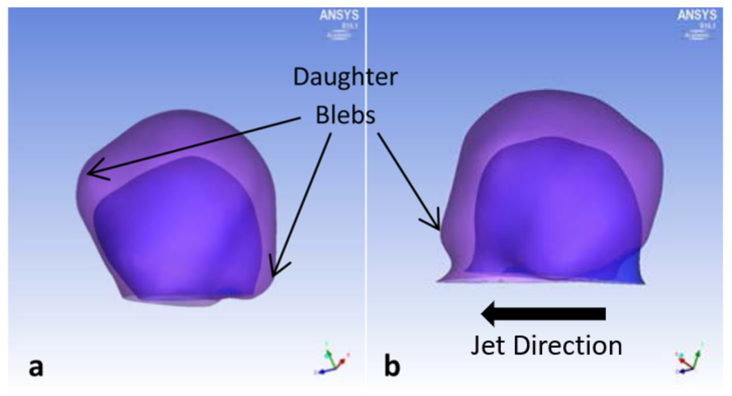 Brainsci 11 00520 g004 Brainsci 11 00520 g004