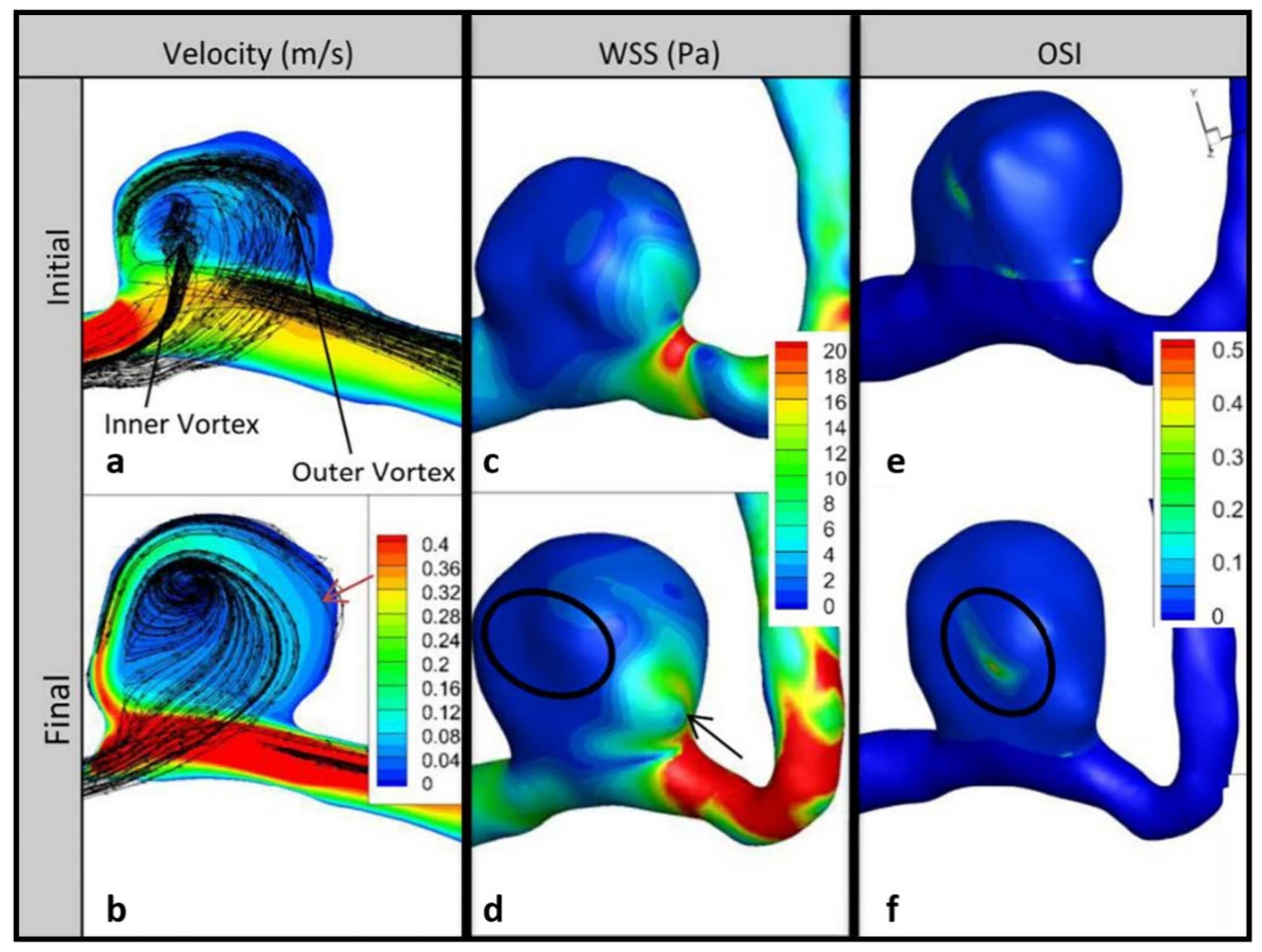 Brainsci 11 00520 g005 Brainsci 11 00520 g005