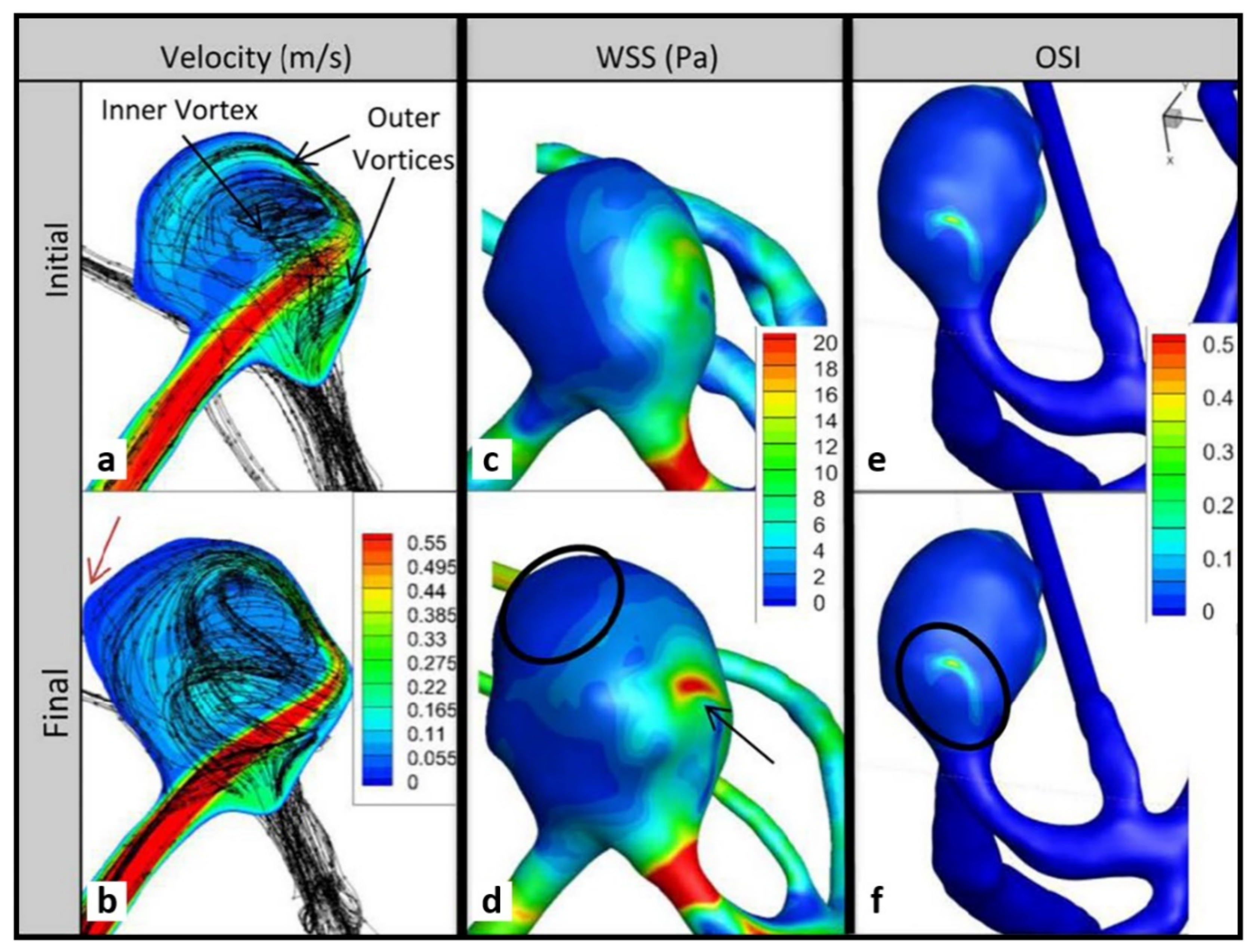 Brainsci 11 00520 g007 Brainsci 11 00520 g007