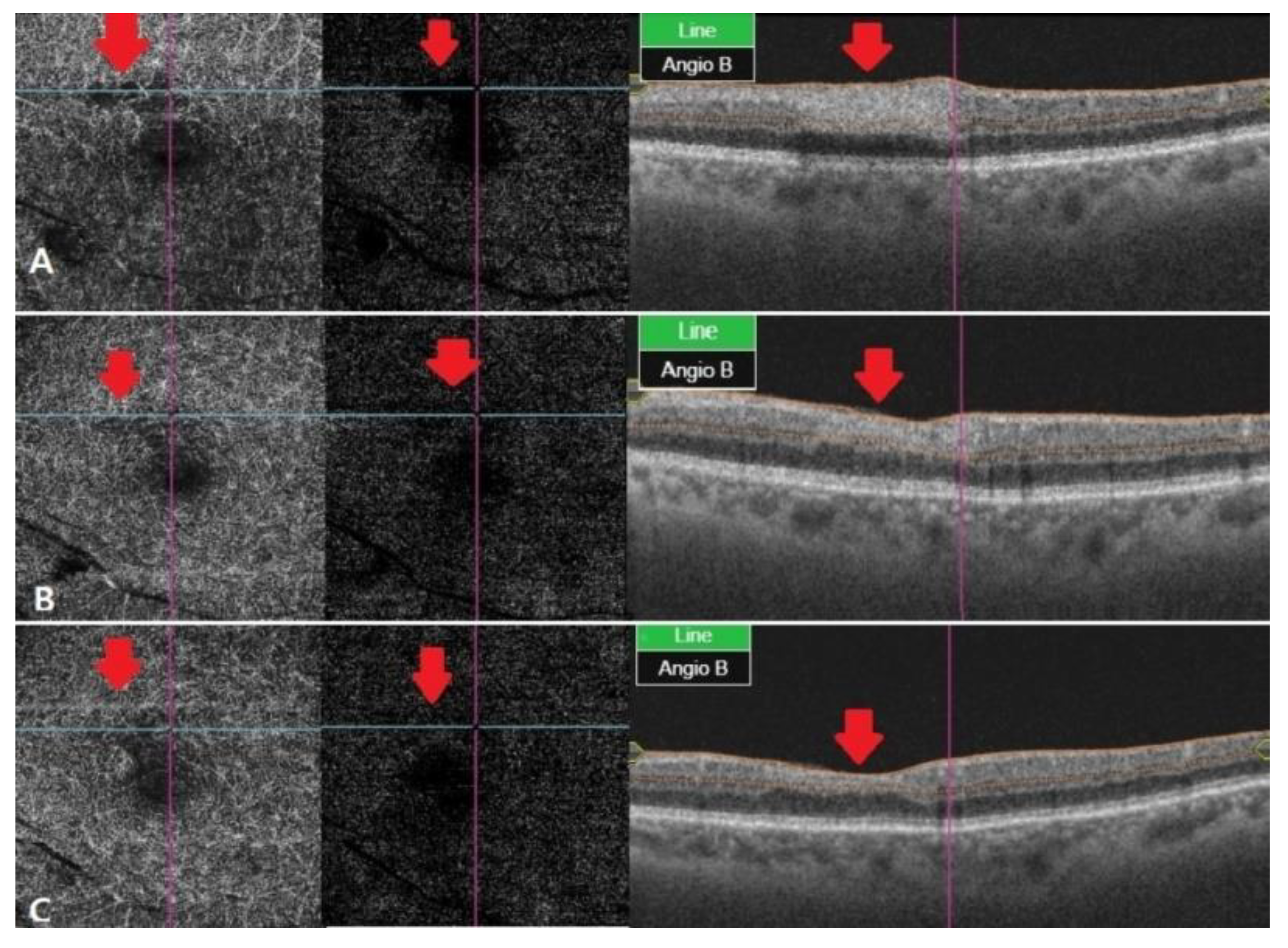 Brainsci 11 00542 g003