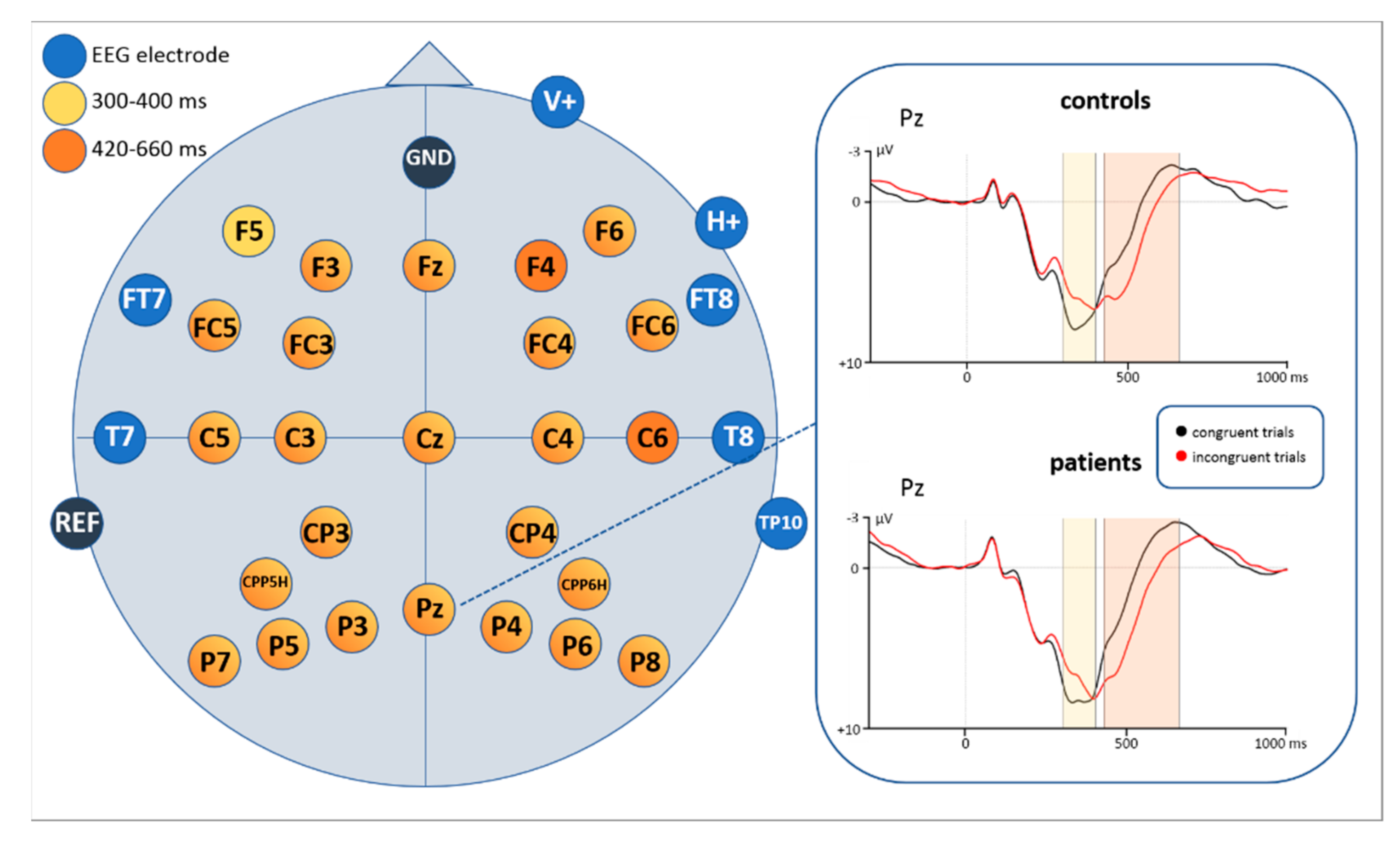 Brainsci 11 00543 g008 Brainsci 11 00543 g008